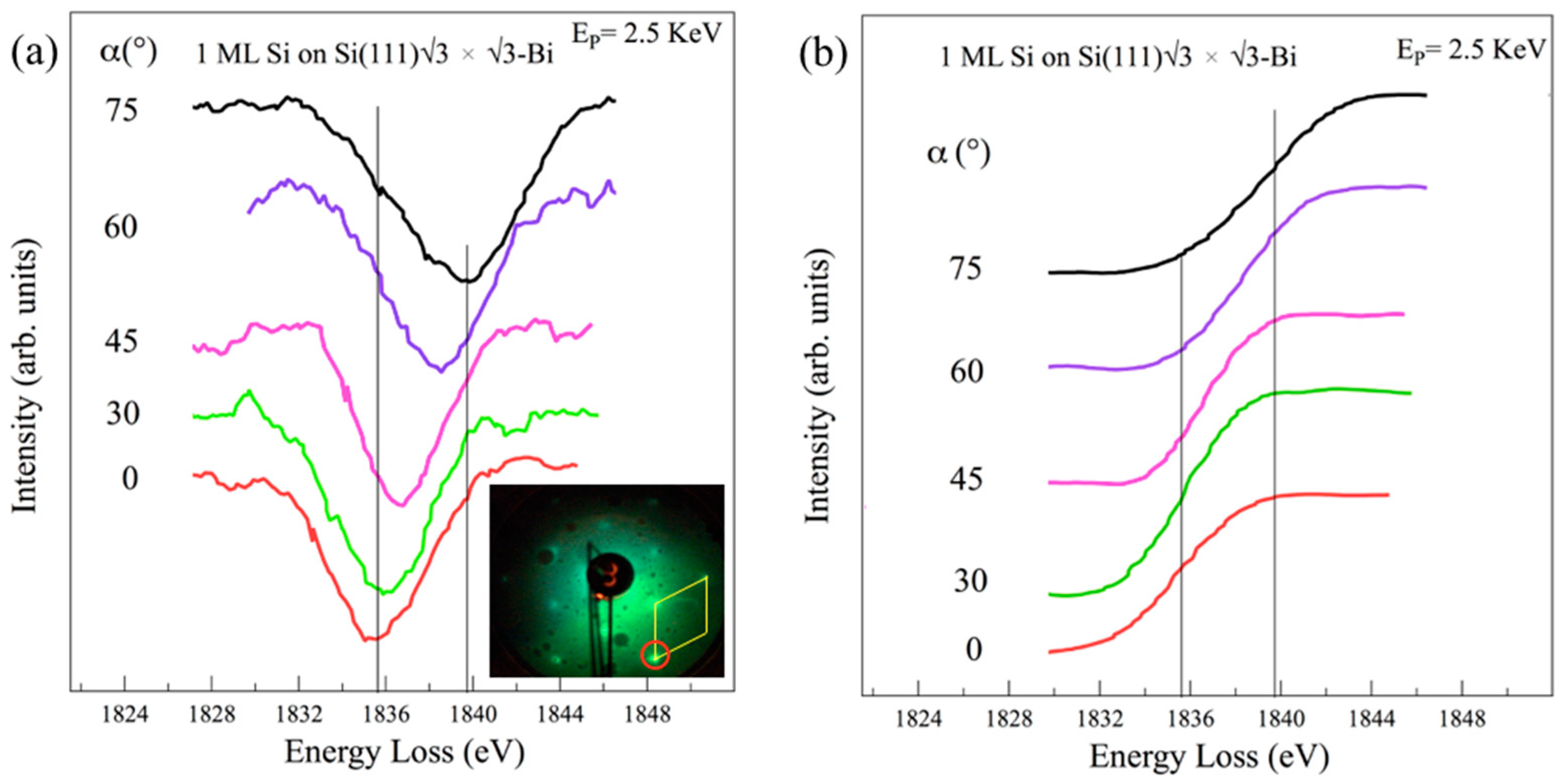 Materials 15 01730 g005 550