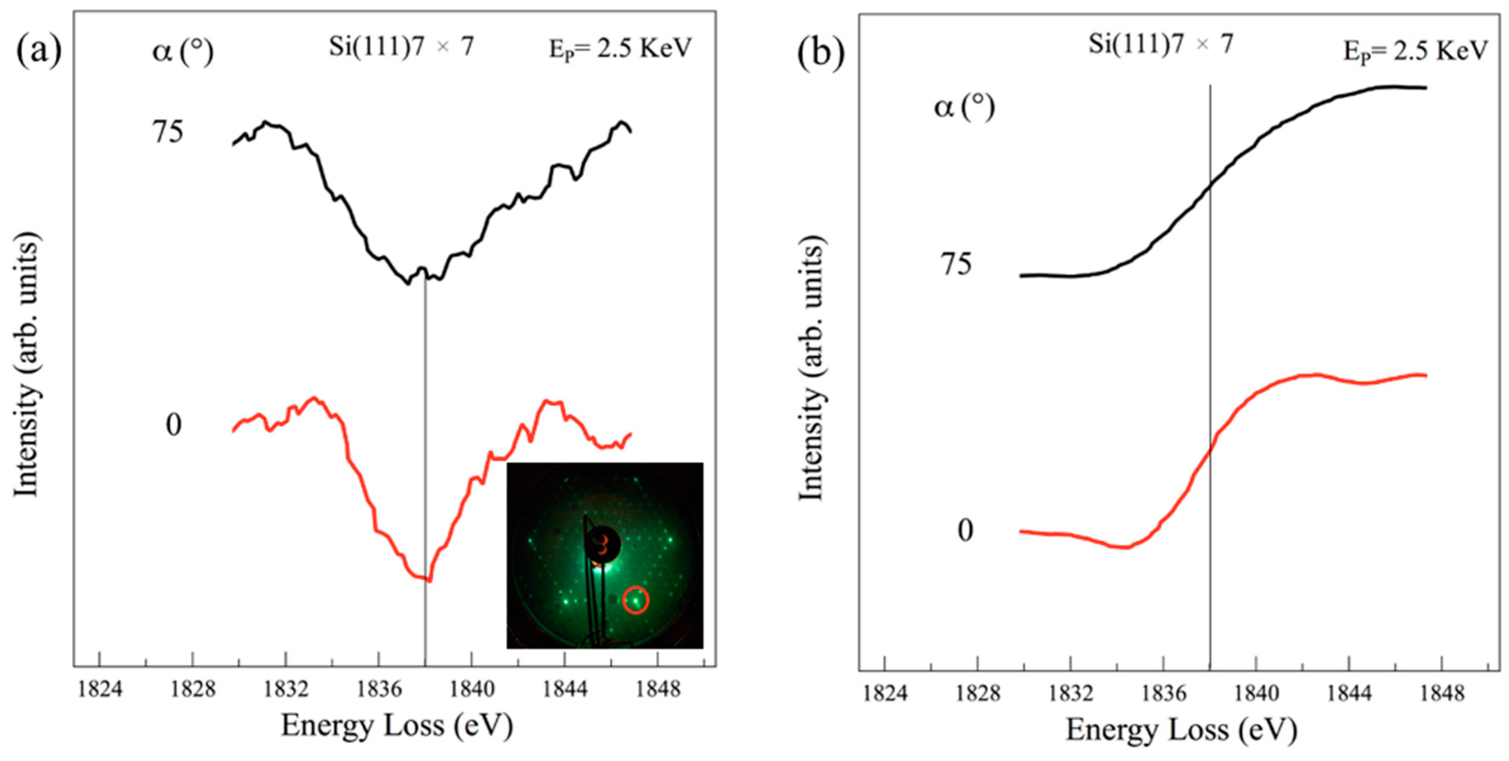 Materials 15 01730 g007 550