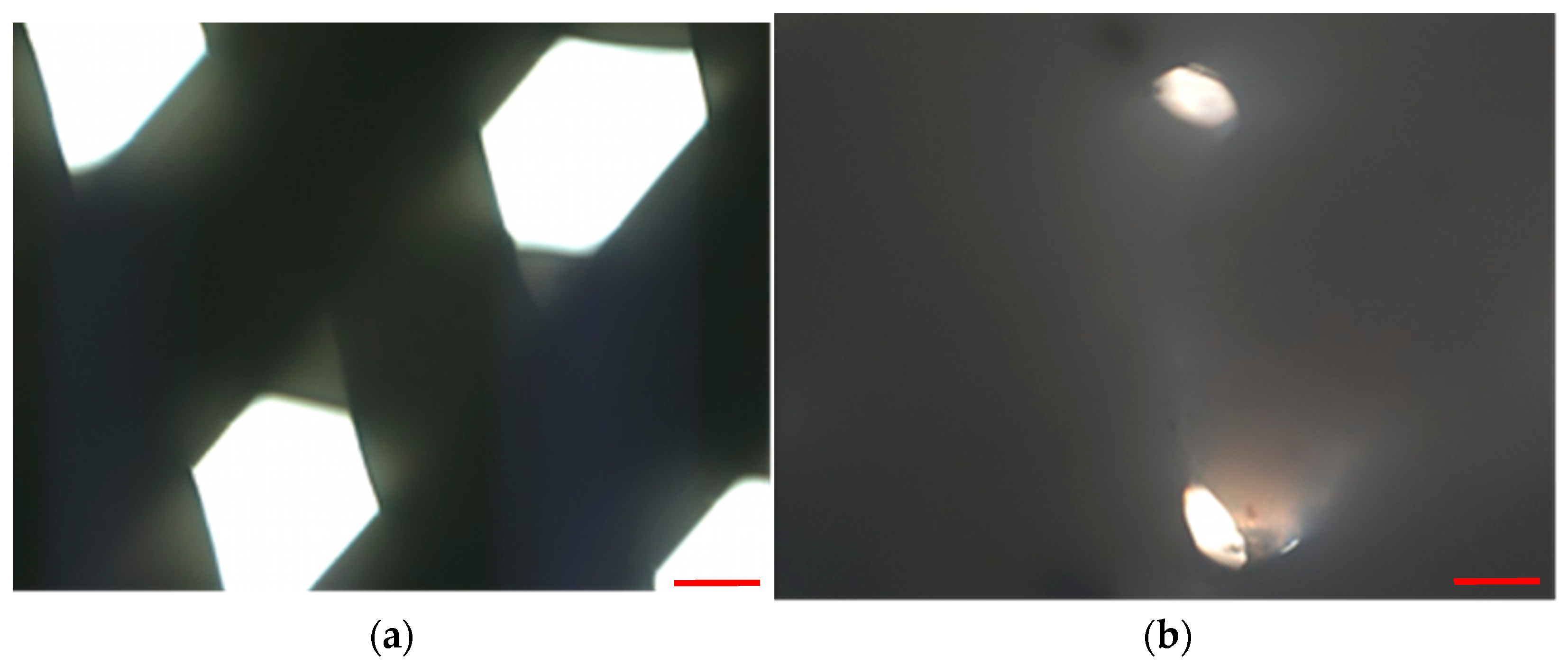 Materials 15 01732 g005