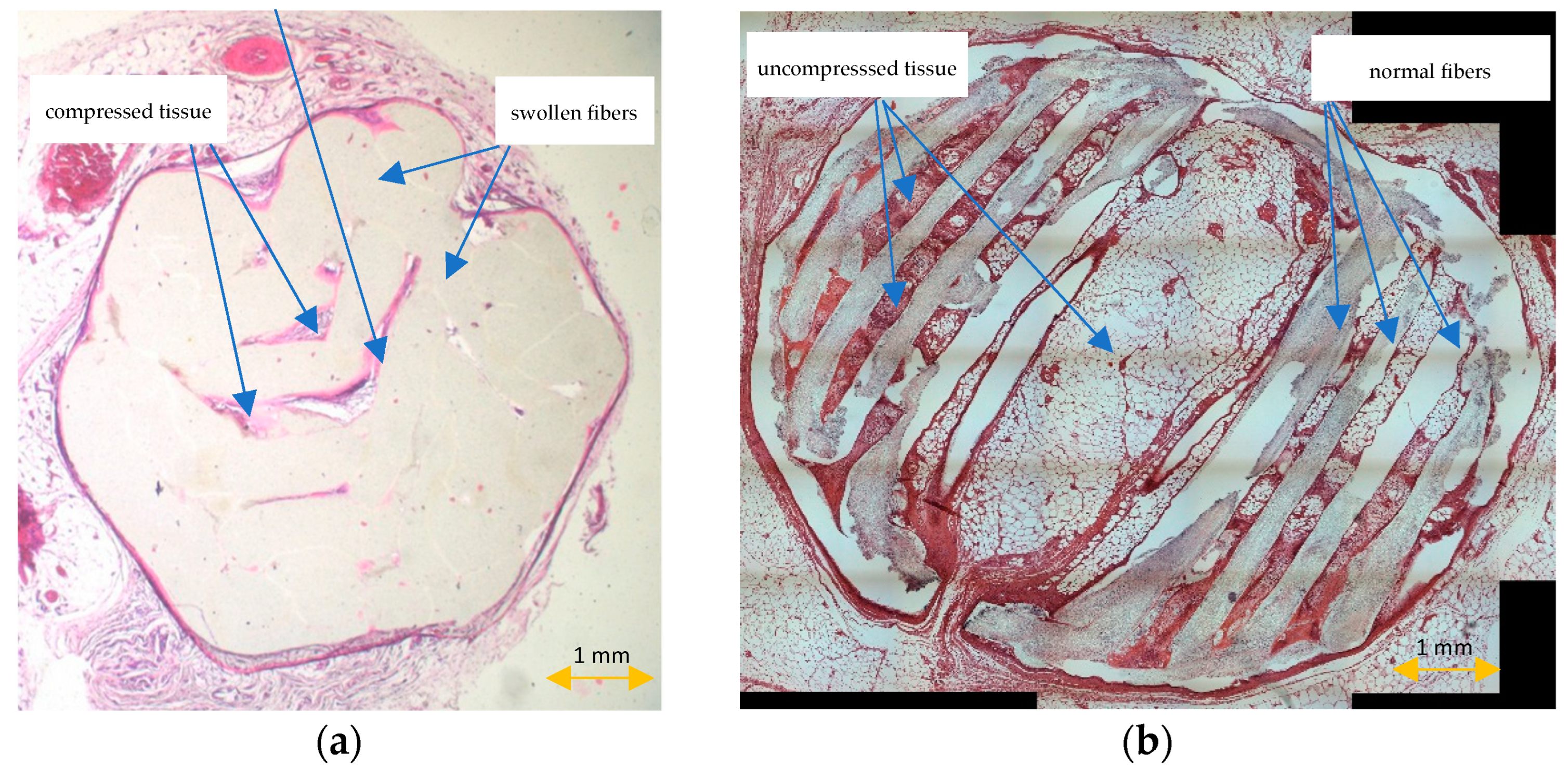 Materials 15 01732 g007