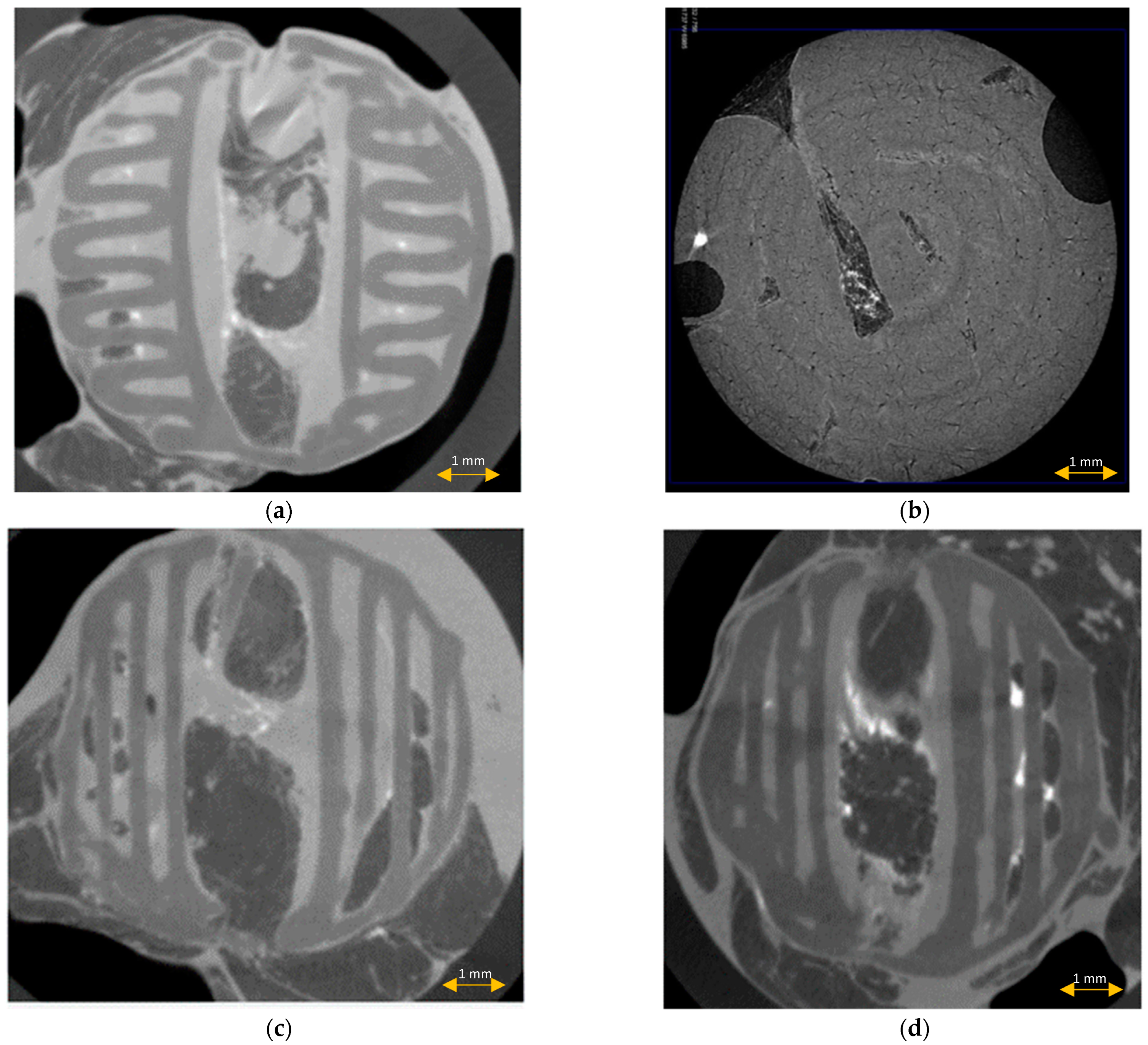 Materials 15 01732 g008