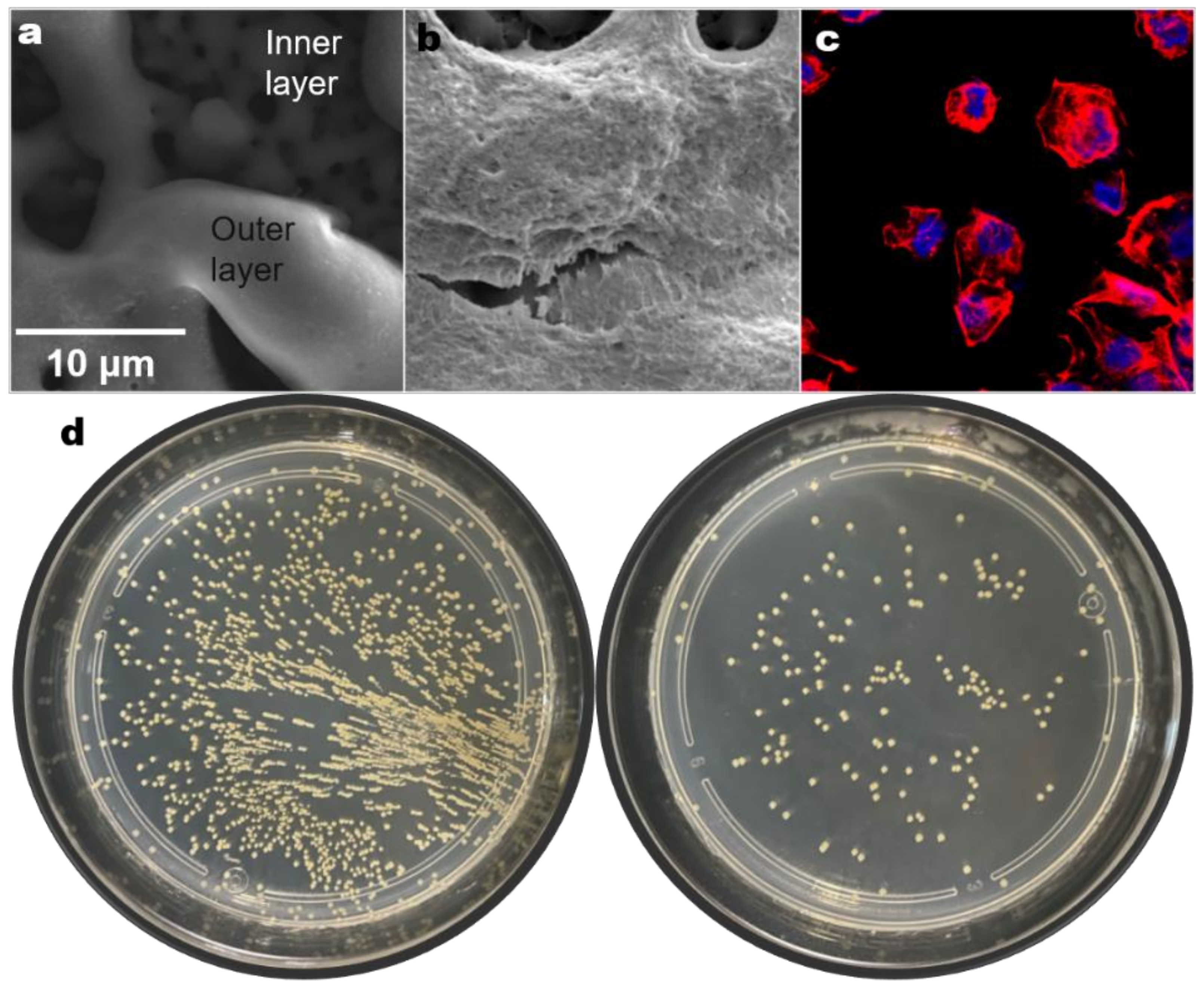 Materials 15 01749 g011