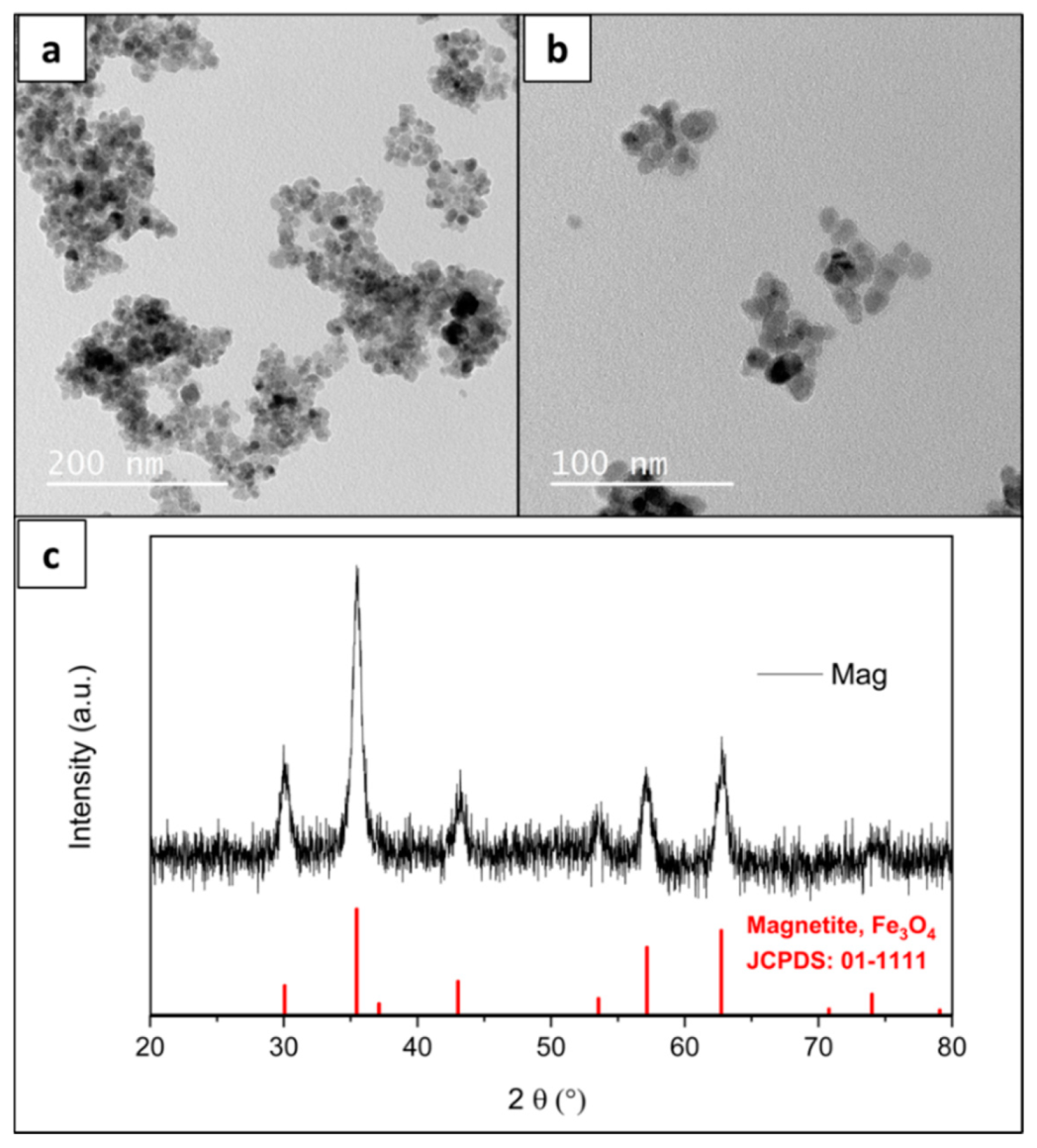 Materials 15 01755 g001 550