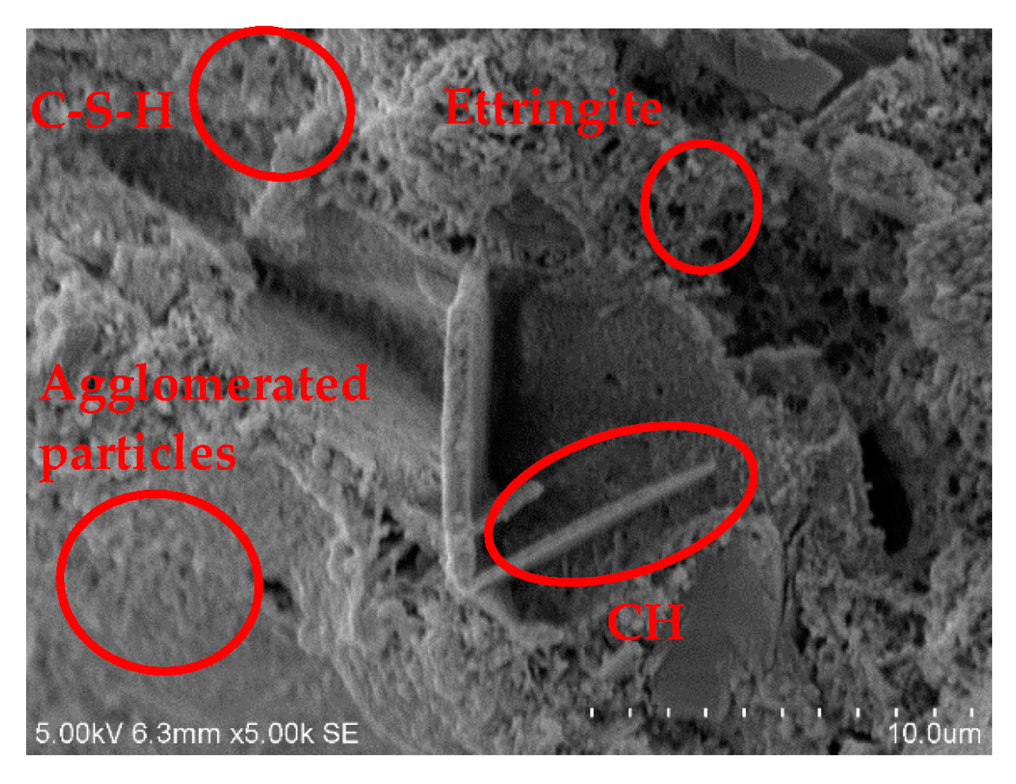 Materials 15 01782 g006 550