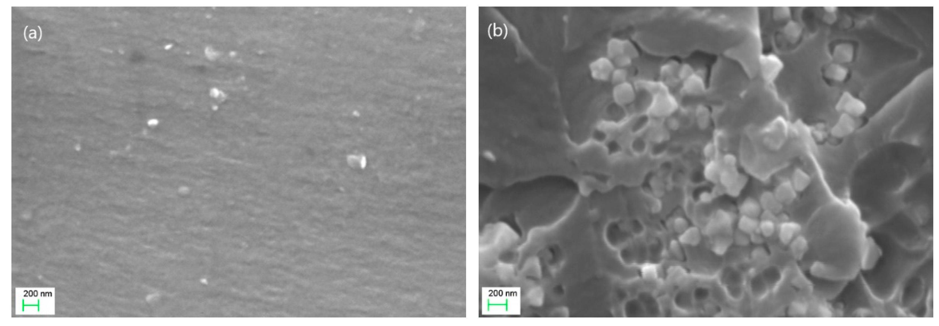 Materials 15 01784 g003 550