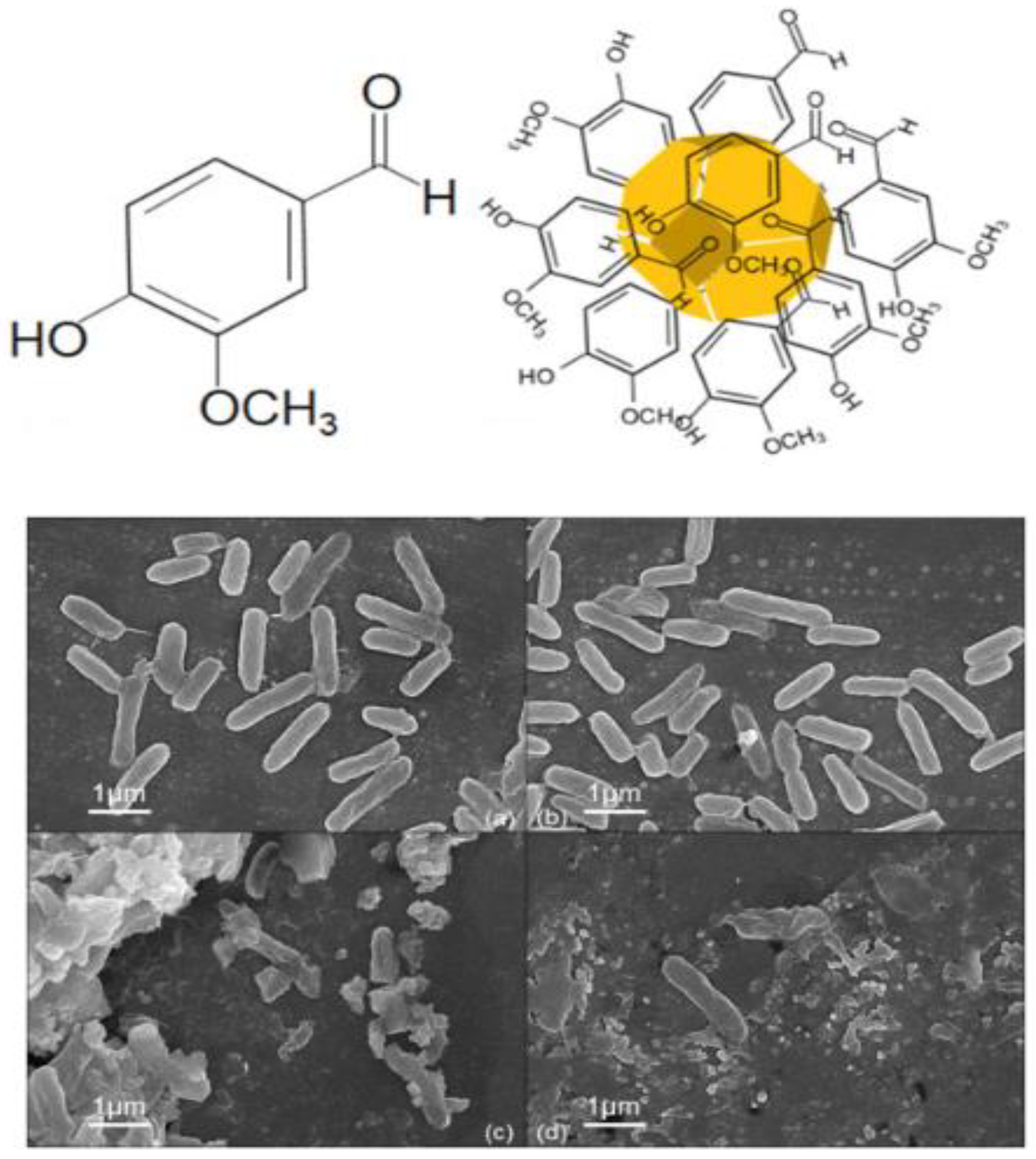 Materials 15 01799 g002