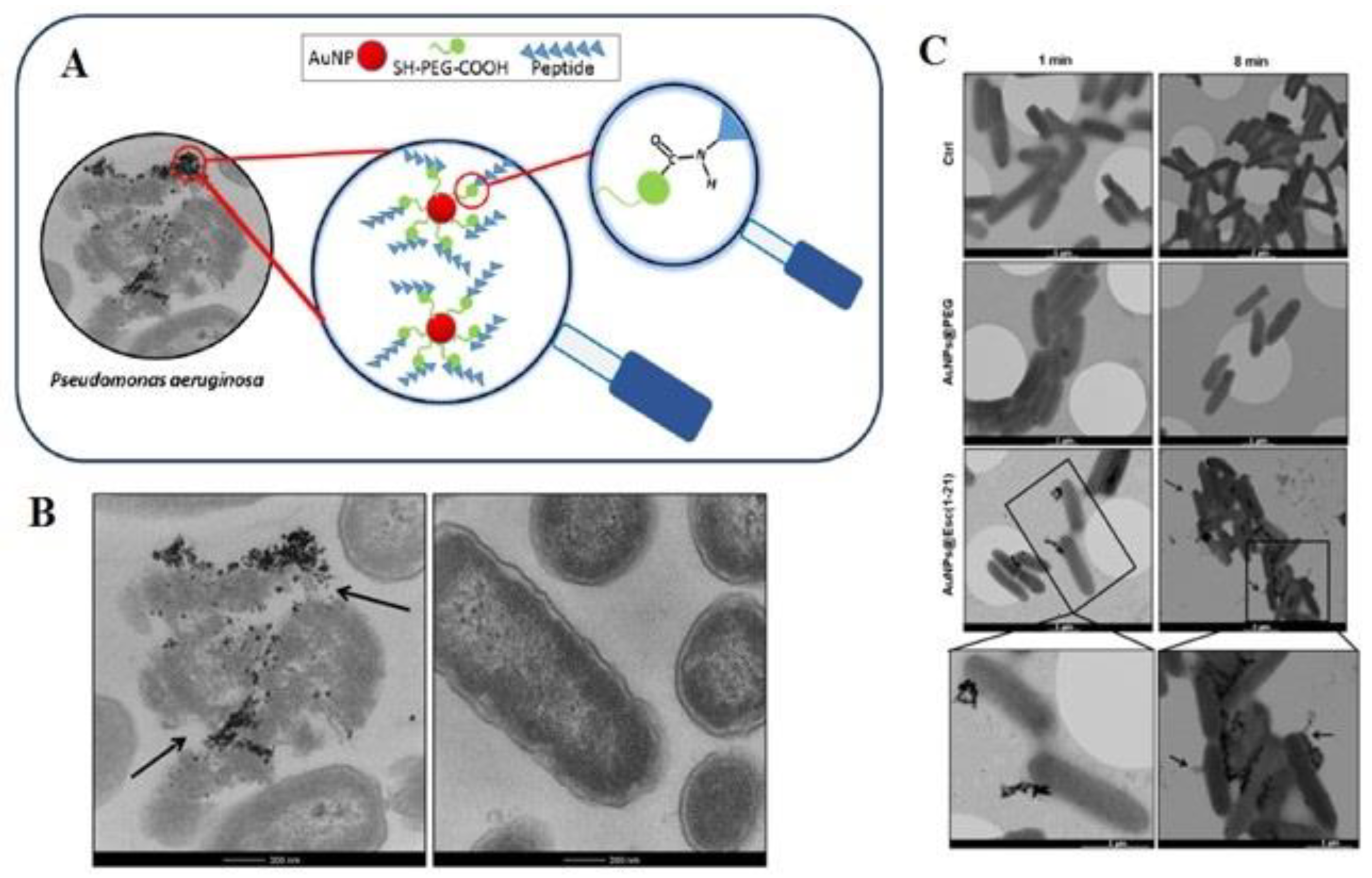 Materials 15 01799 g003