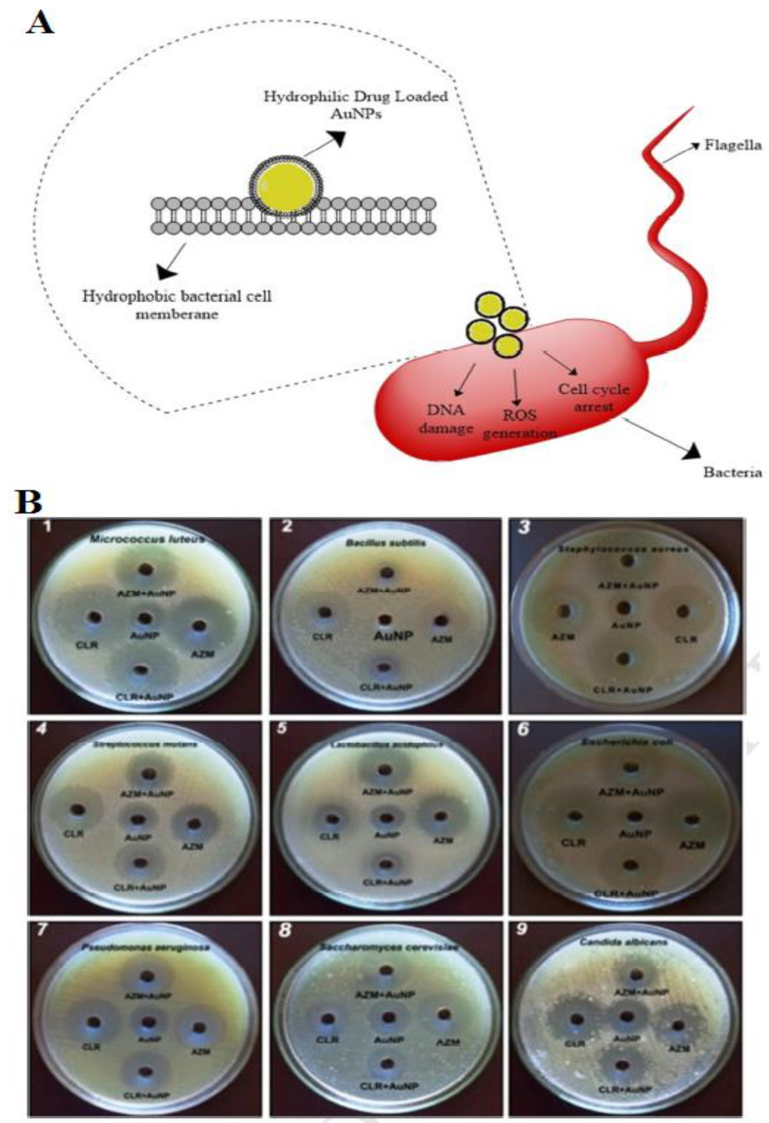 Materials 15 01799 g004