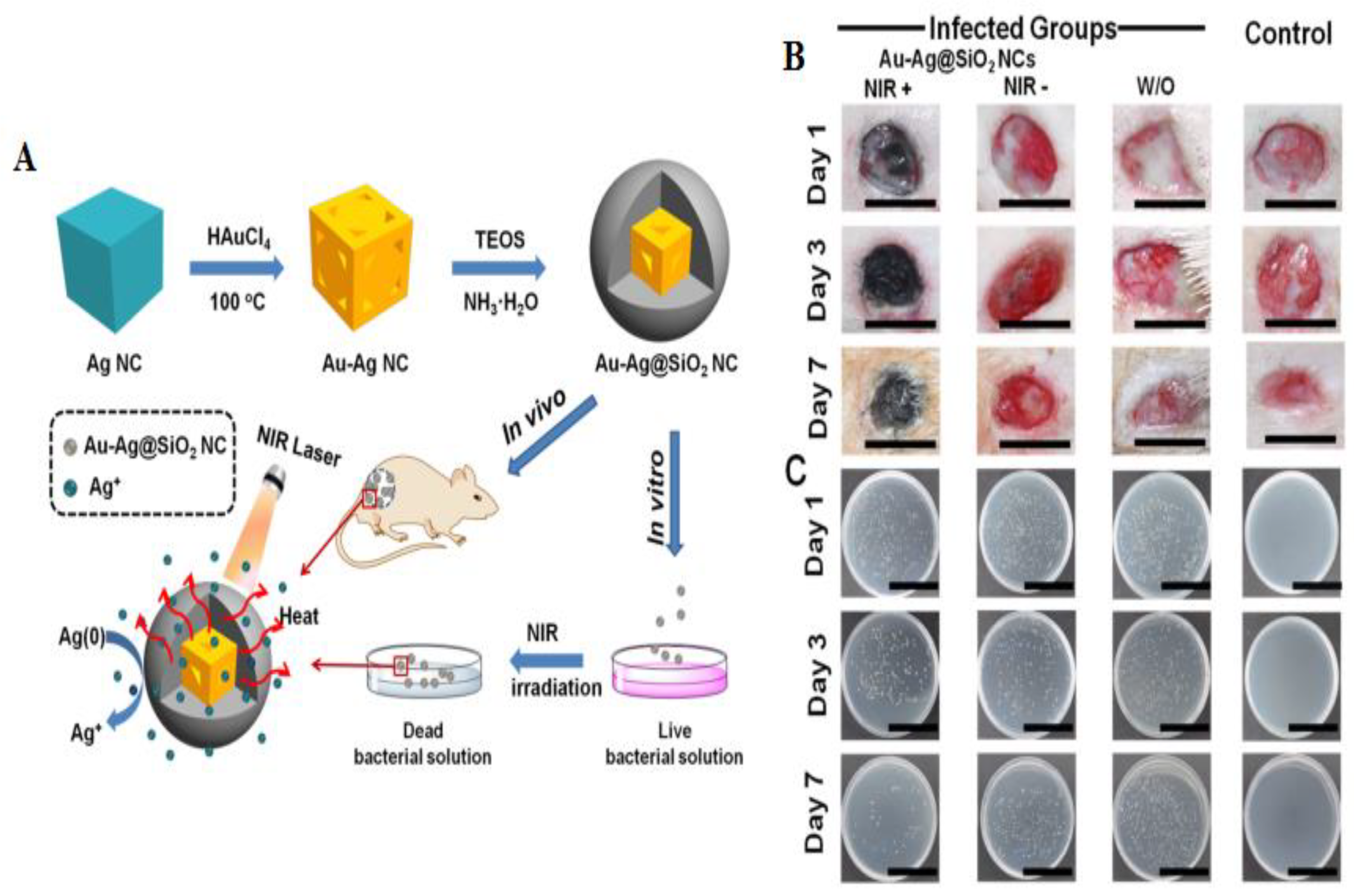 Materials 15 01799 g006