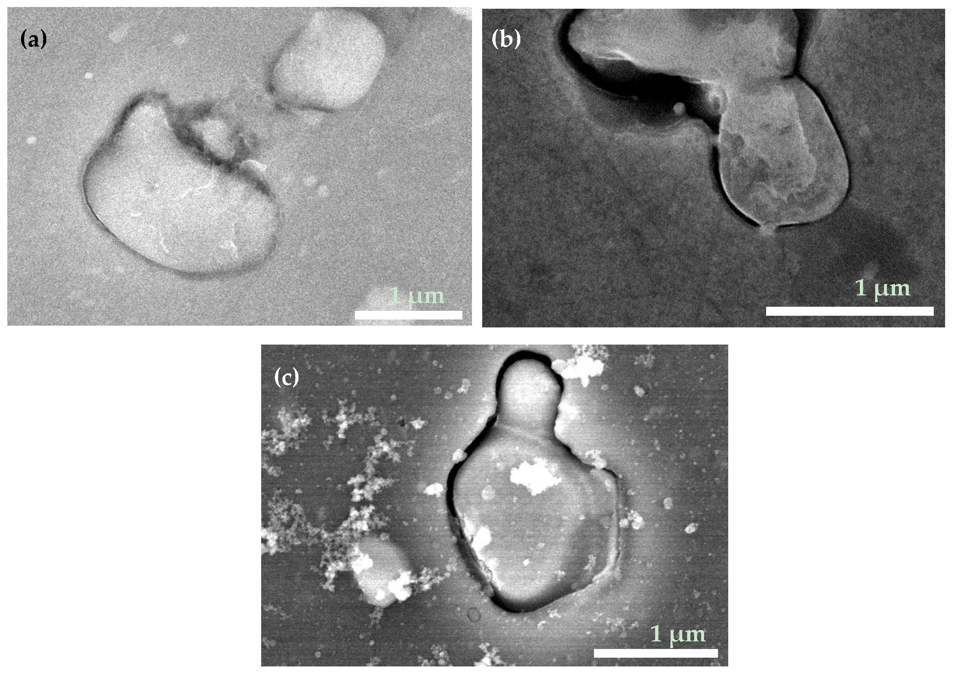 Materials 15 01804 g005