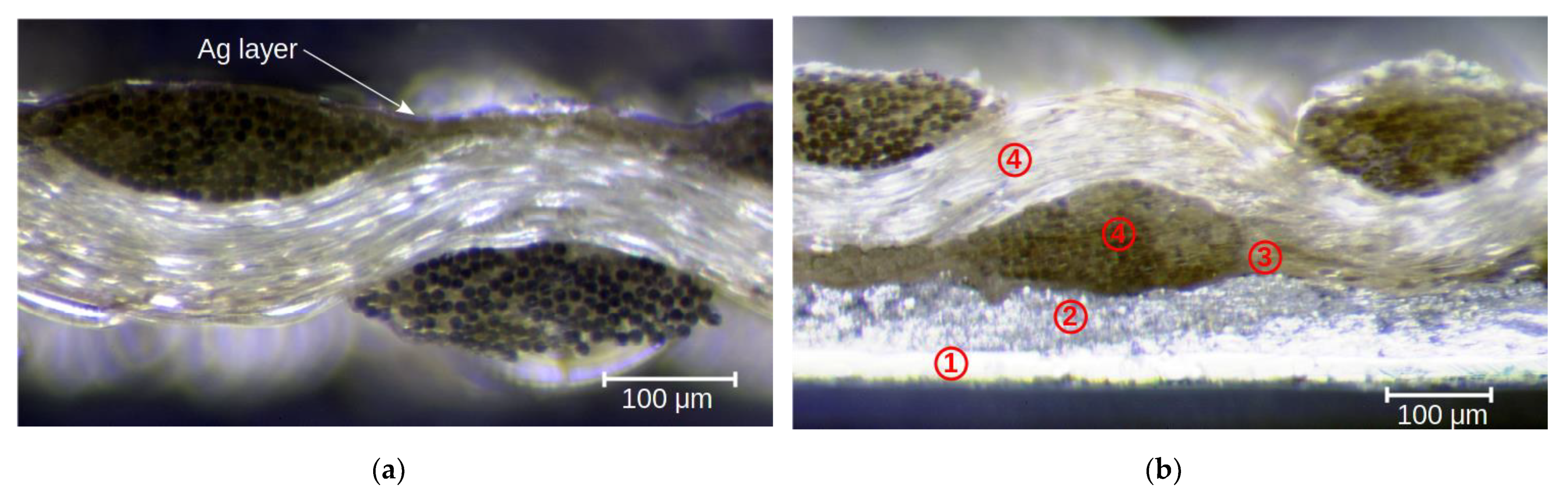 Materials 15 01814 g009 550