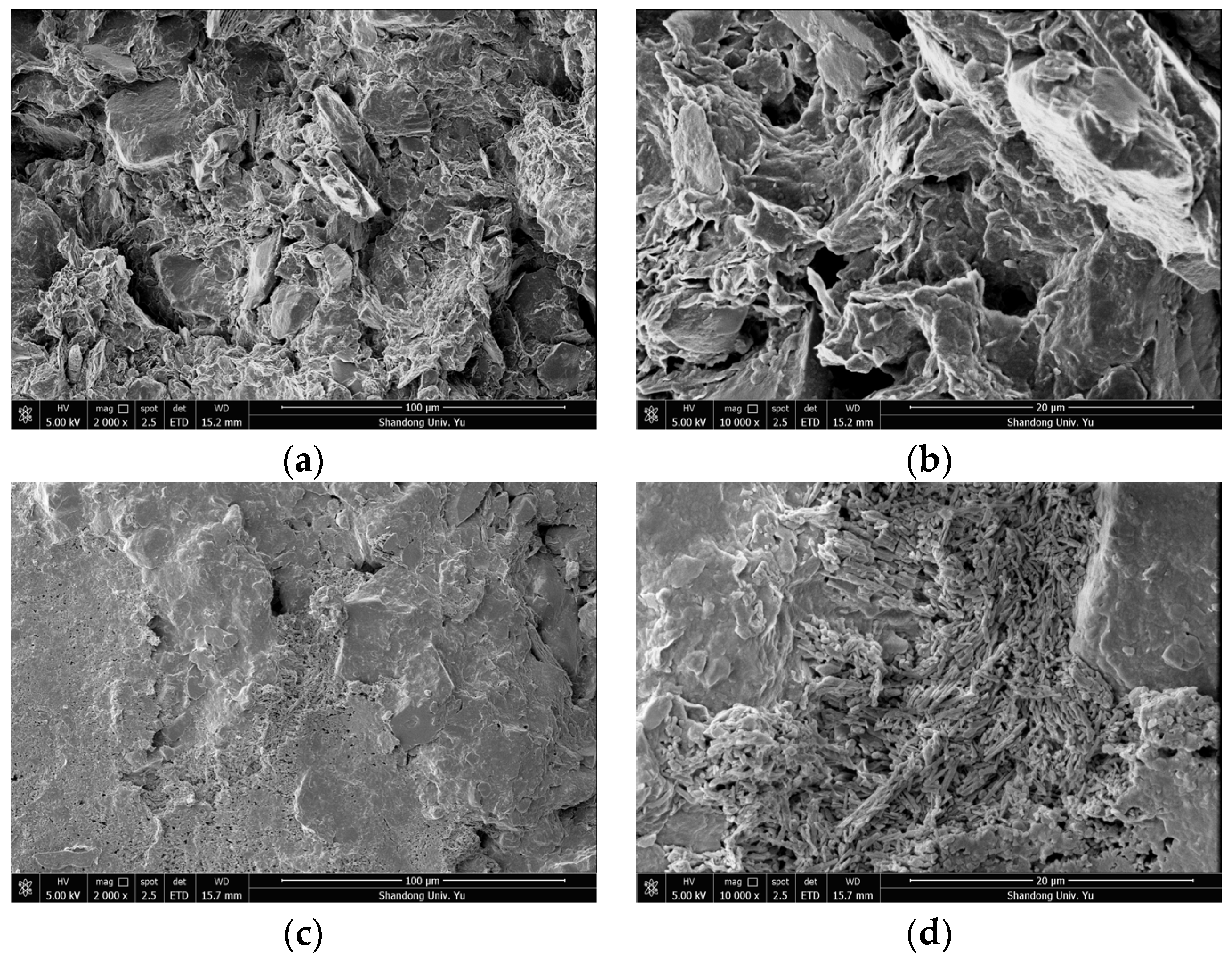 Materials 15 01817 g004 550