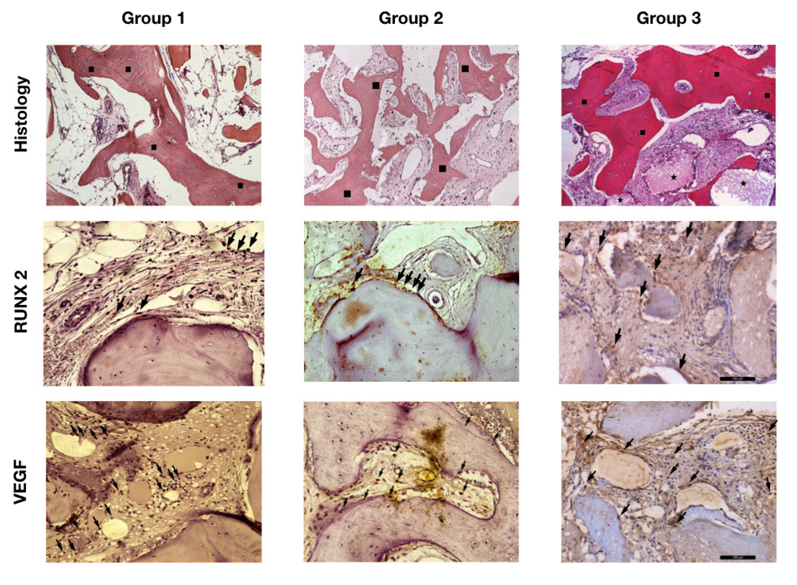 Materials 15 01824 g002
