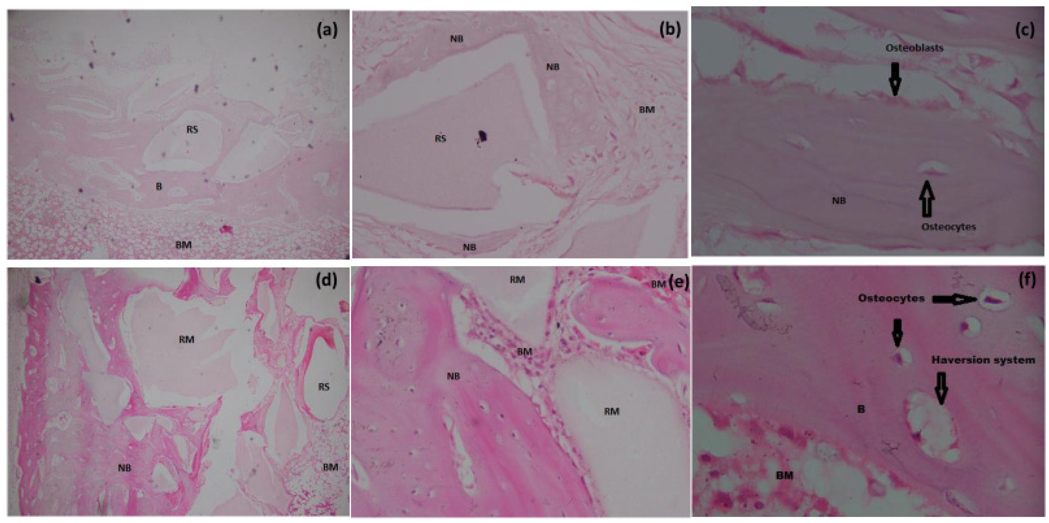 Materials 15 01826 g006 Materials 15 01826 g006