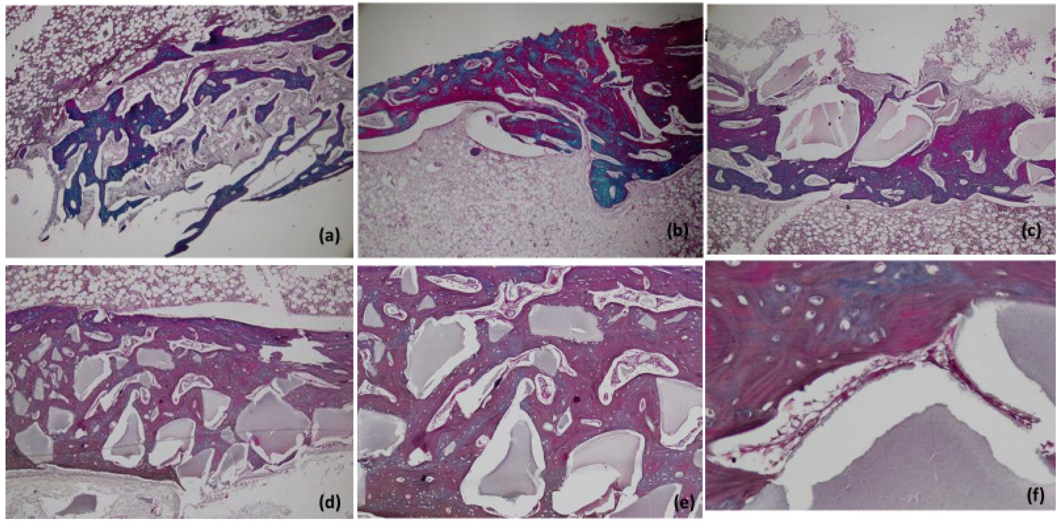 Materials 15 01826 g007 Materials 15 01826 g007