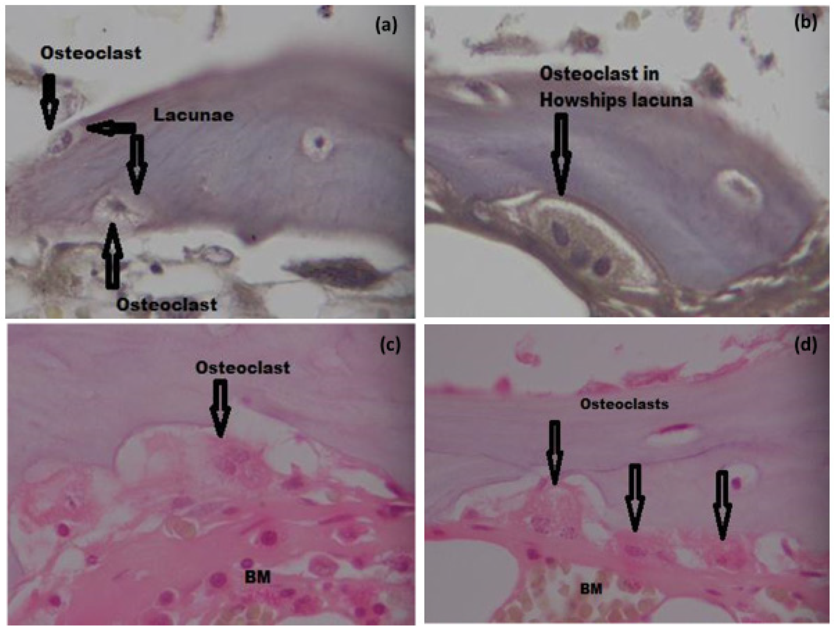 Materials 15 01826 g008 Materials 15 01826 g008