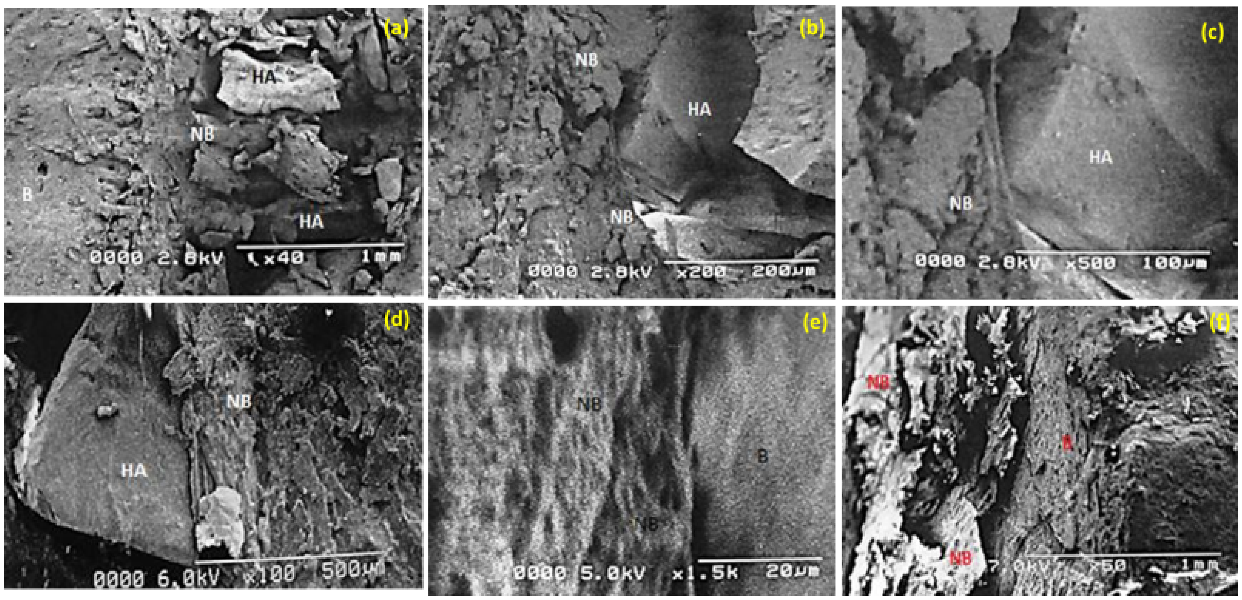 Materials 15 01826 g009 Materials 15 01826 g009