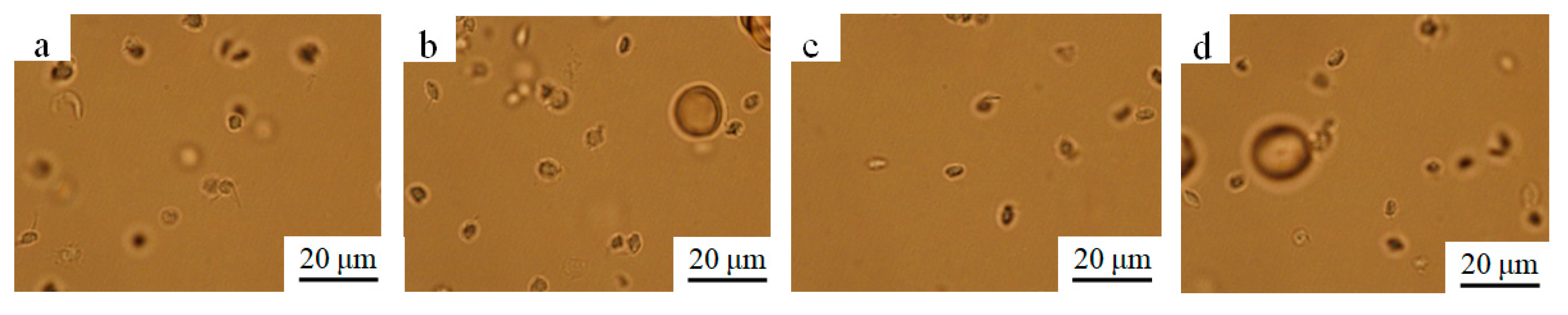 Materials 15 01831 g009a 550