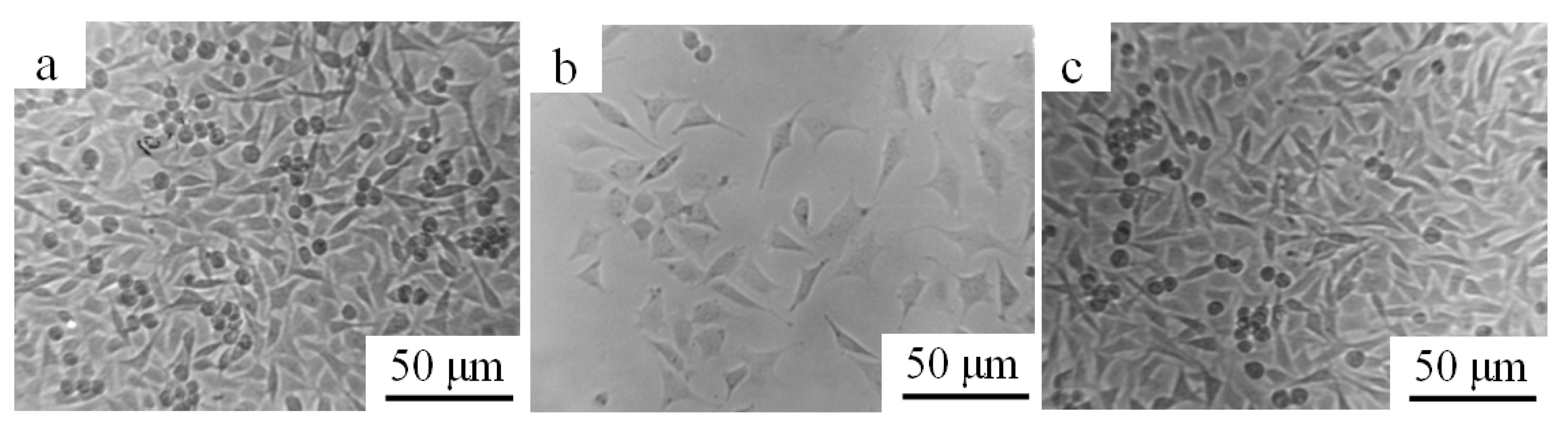 Materials 15 01831 g011 550