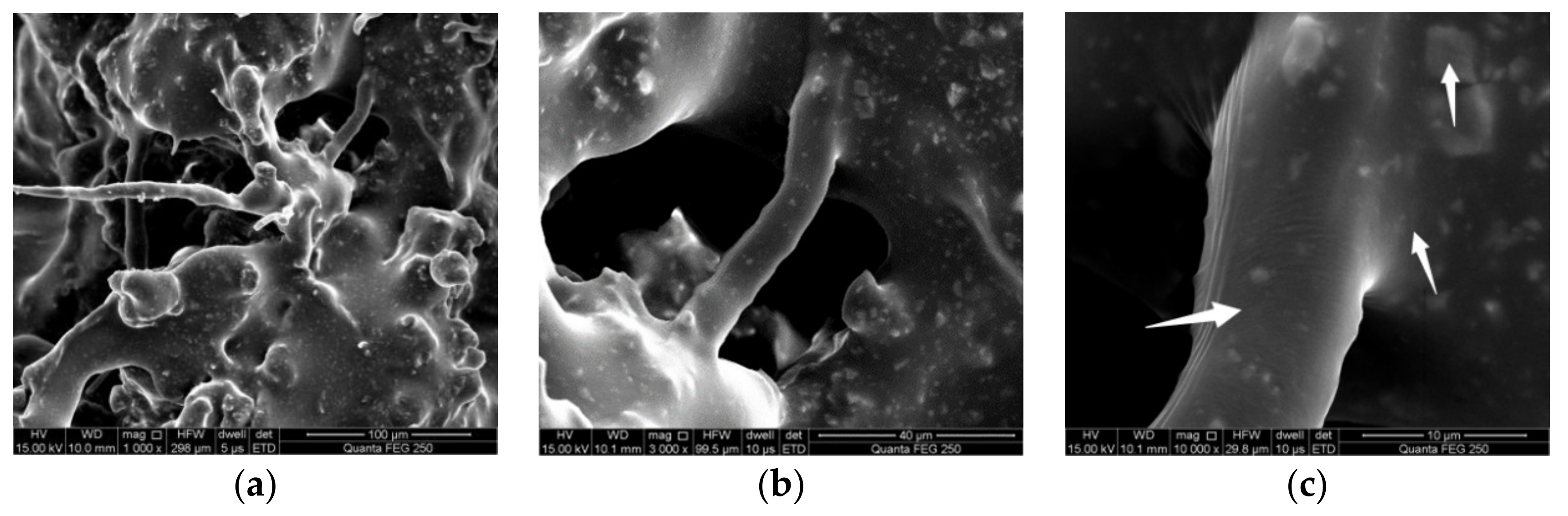 Materials 15 01849 g006