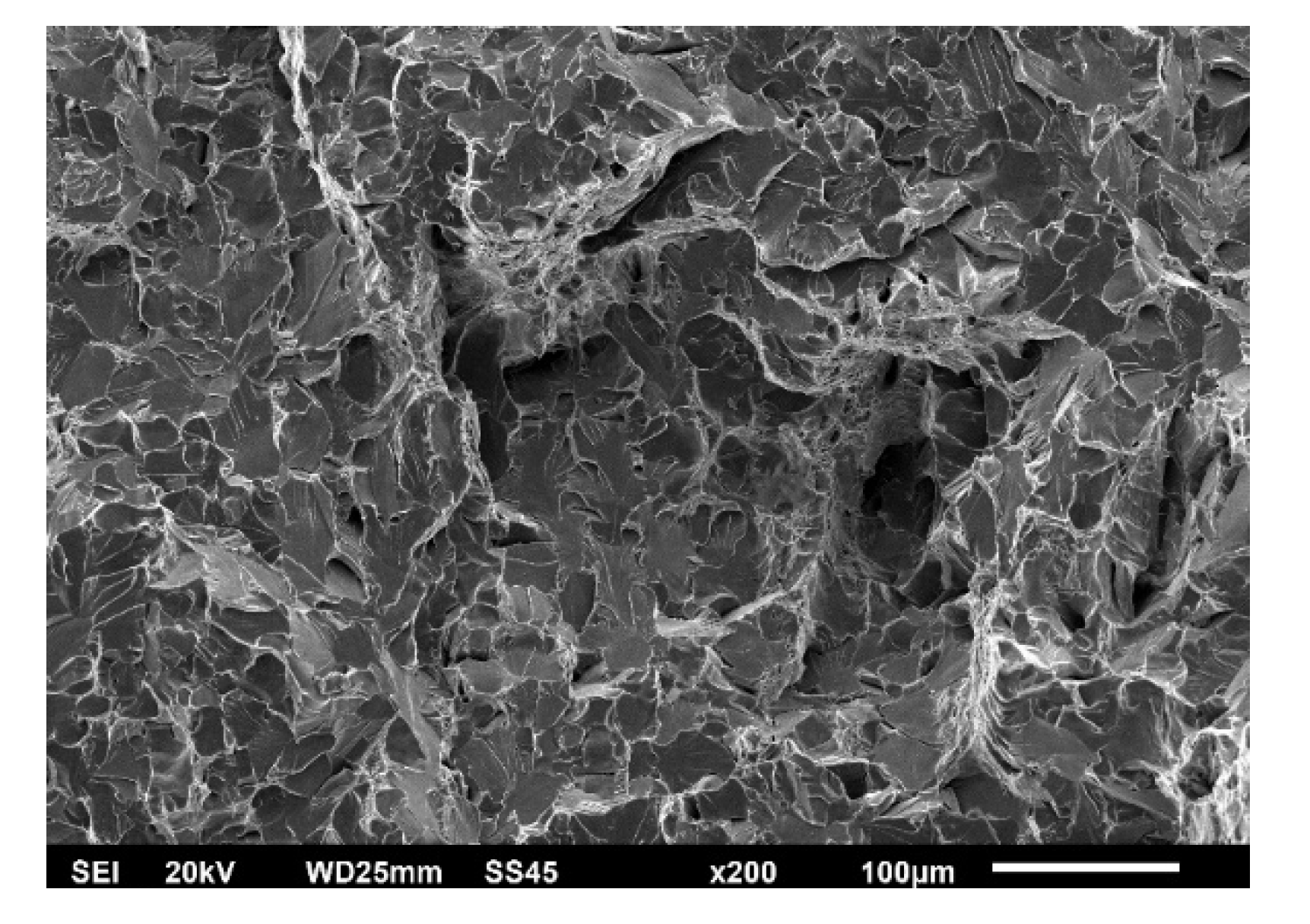 Materials 15 01854 g017