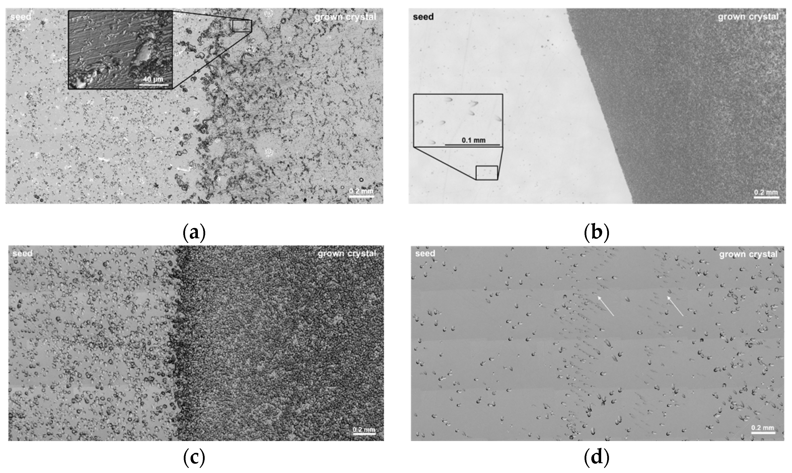 Materials 15 01897 g002 550