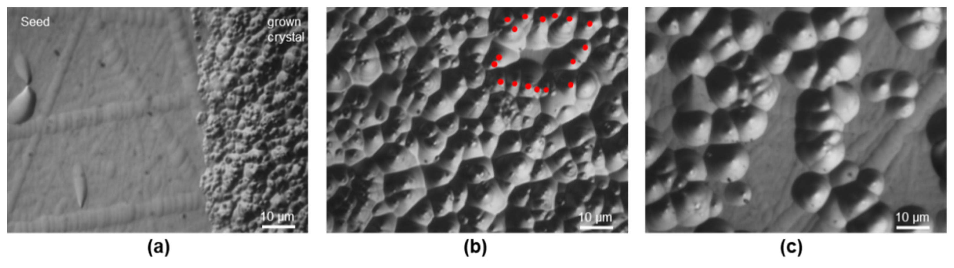 Materials 15 01897 g004 550