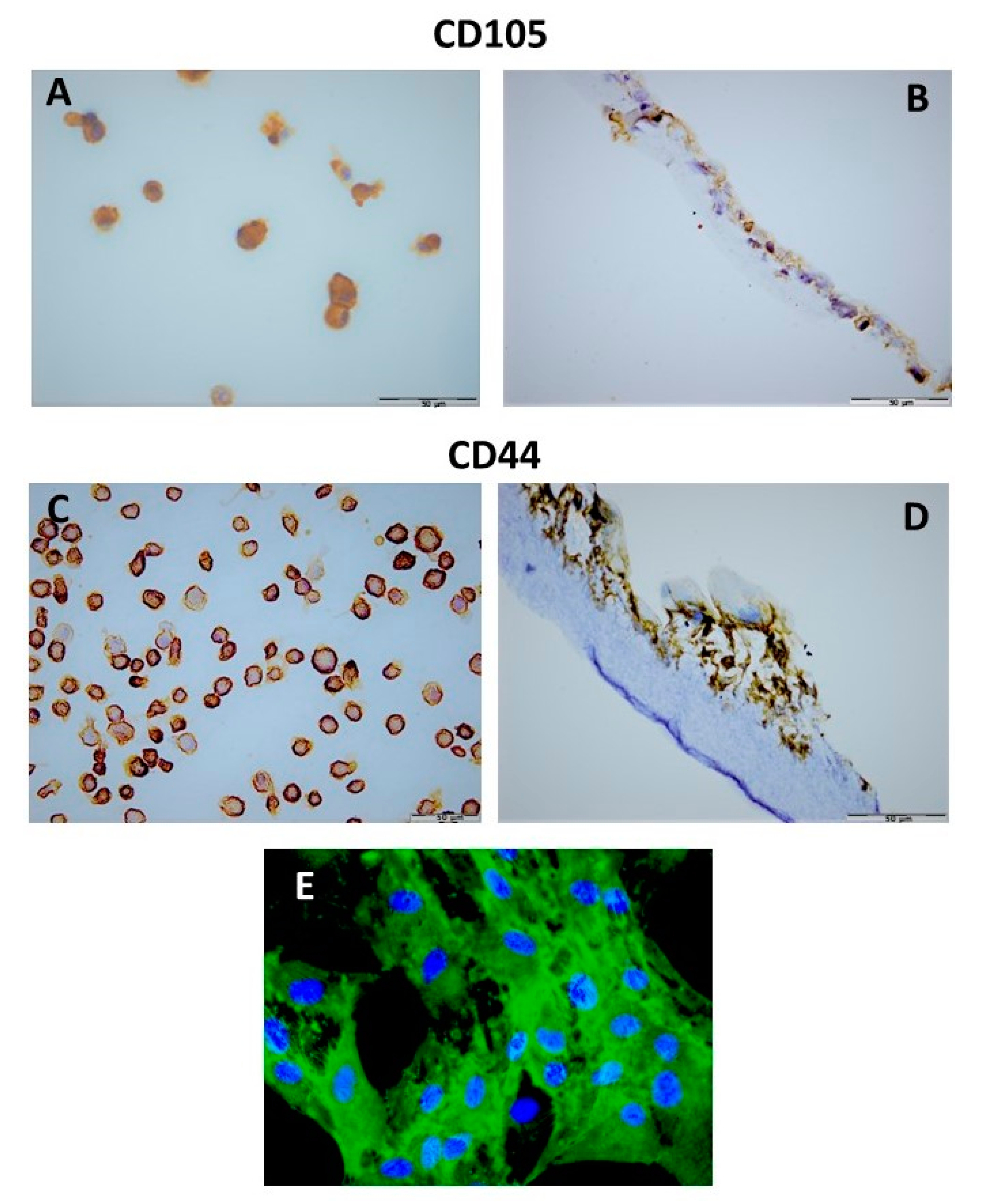 Materials 15 01900 g003