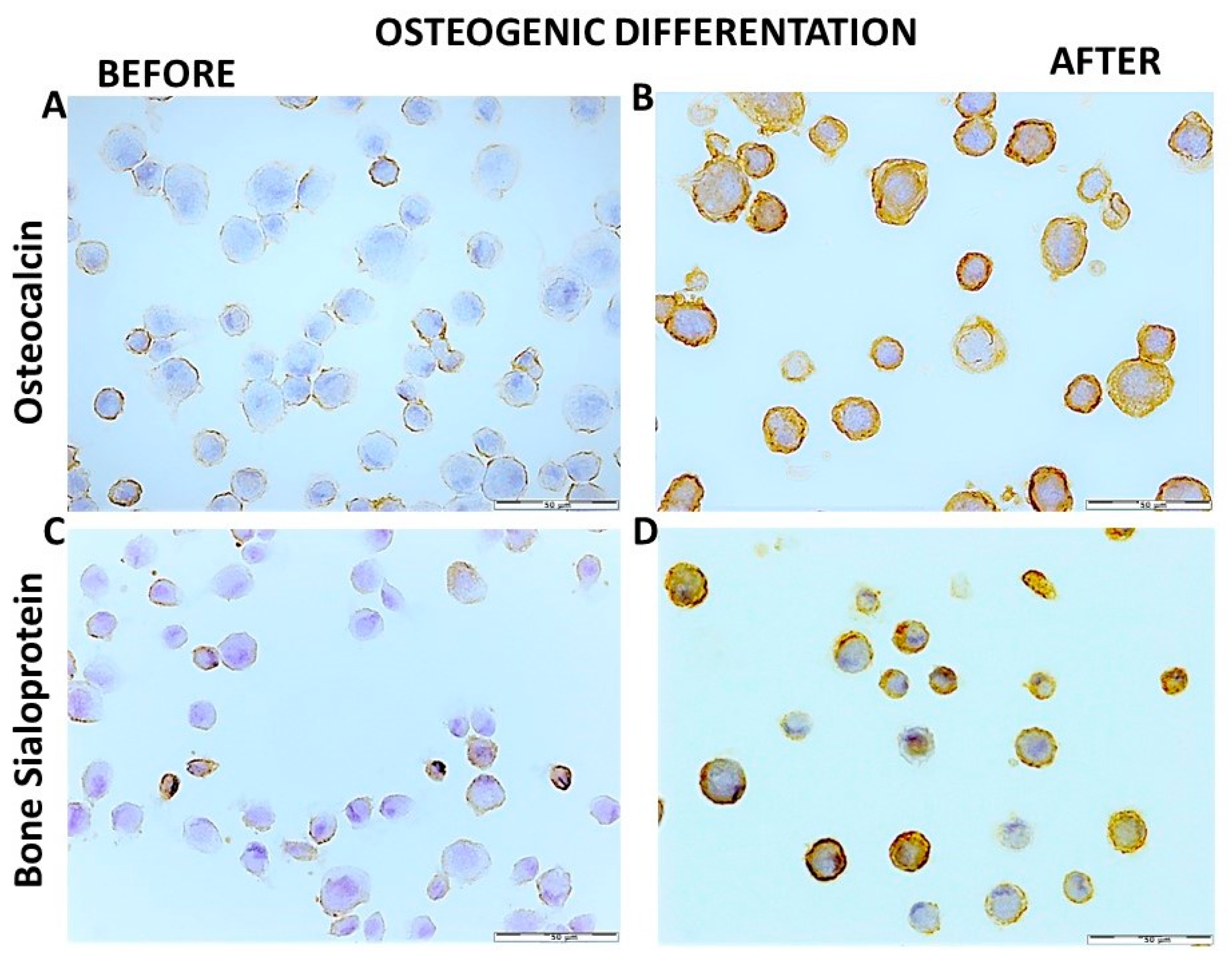 Materials 15 01900 g009