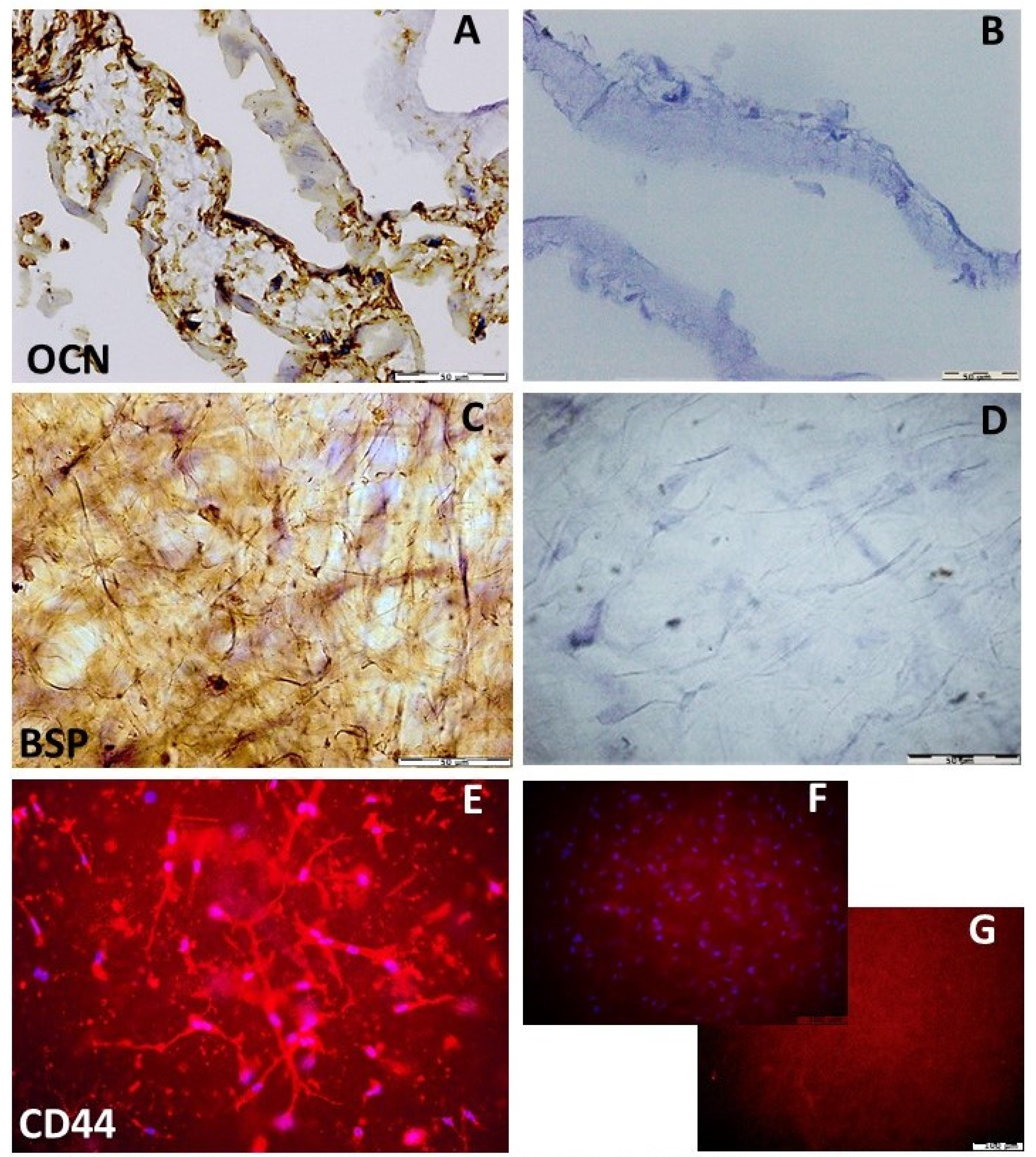 Materials 15 01900 g010a