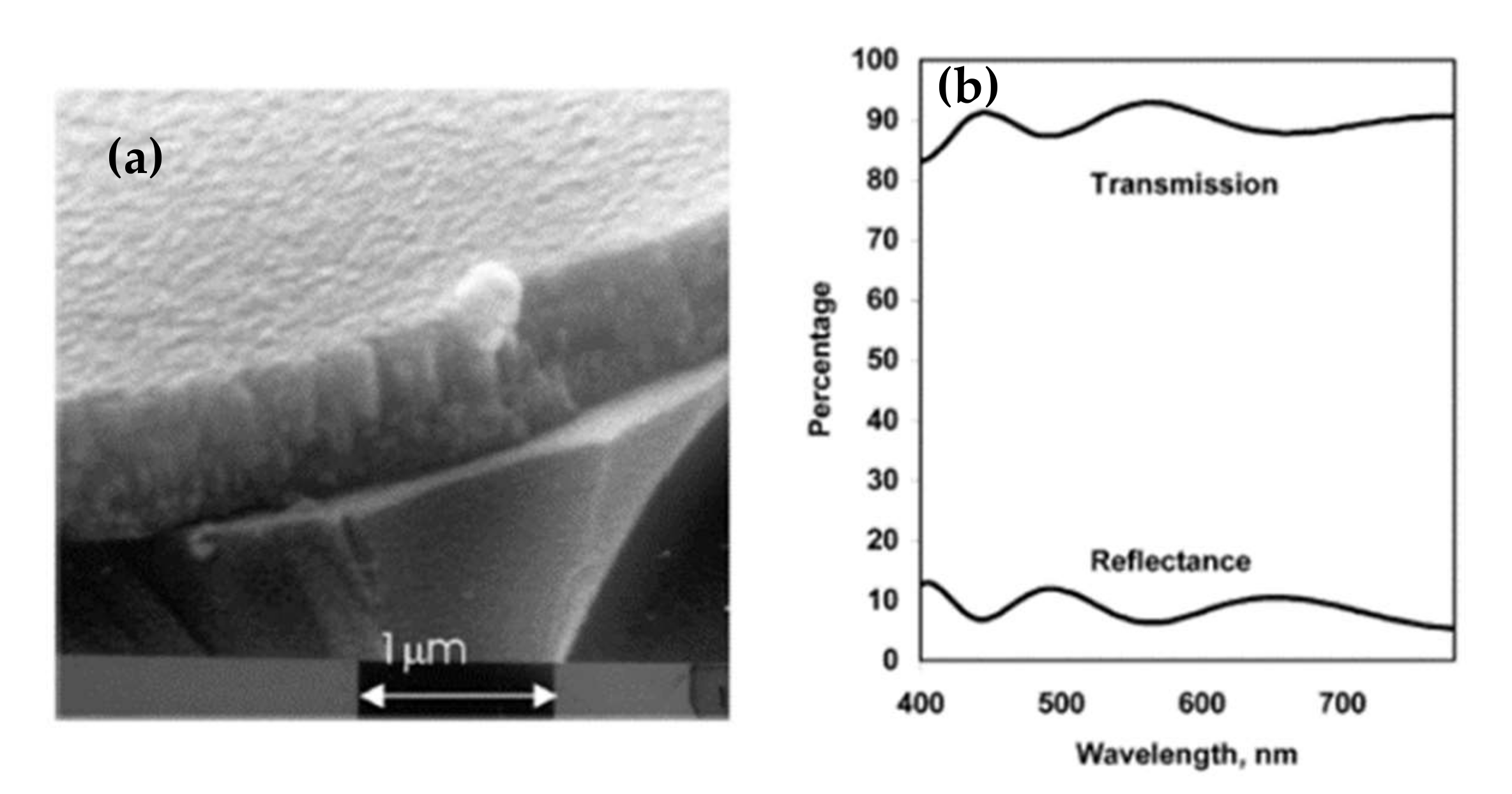 Materials 15 01908 g017 550