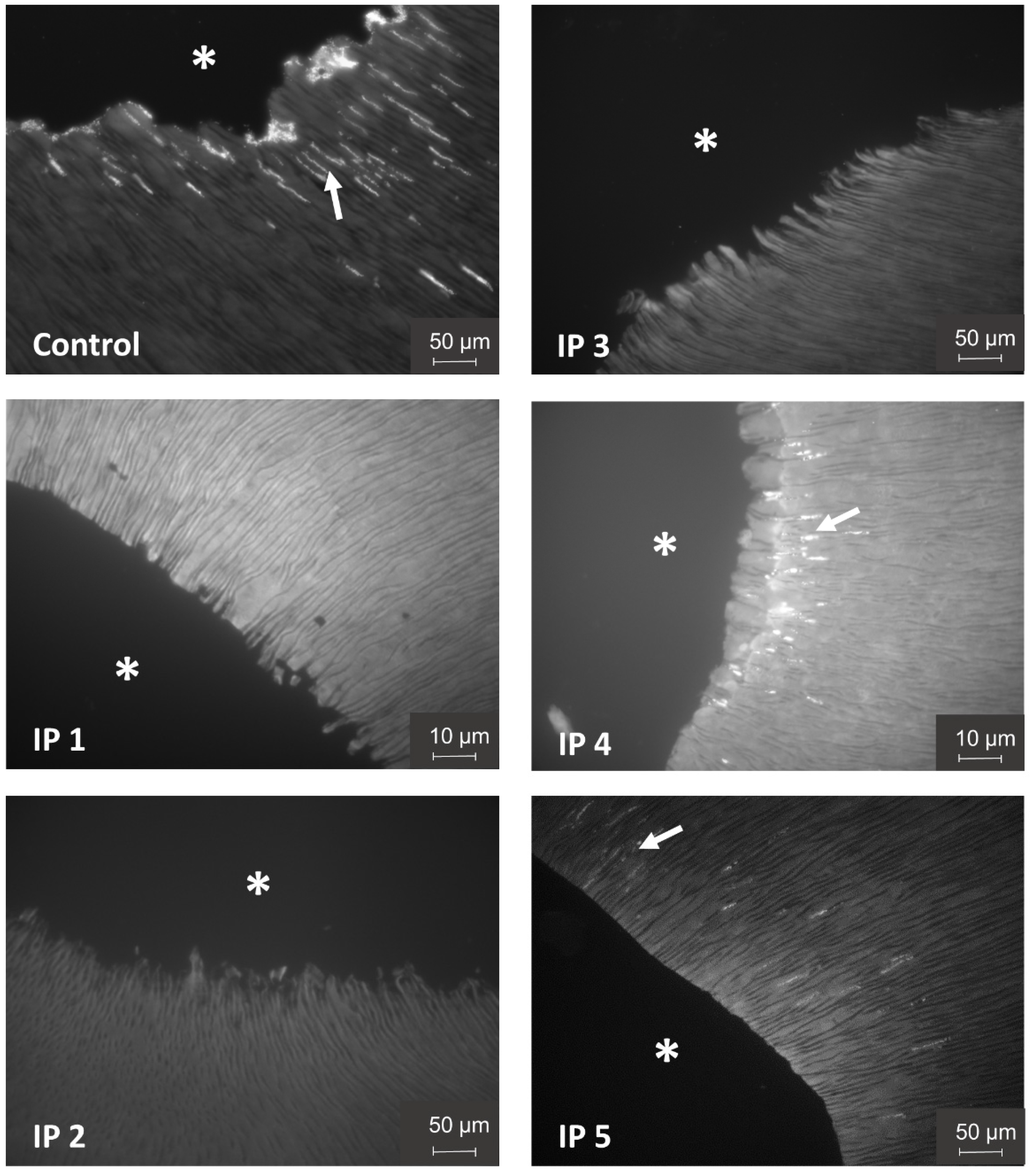Materials 15 01911 g004