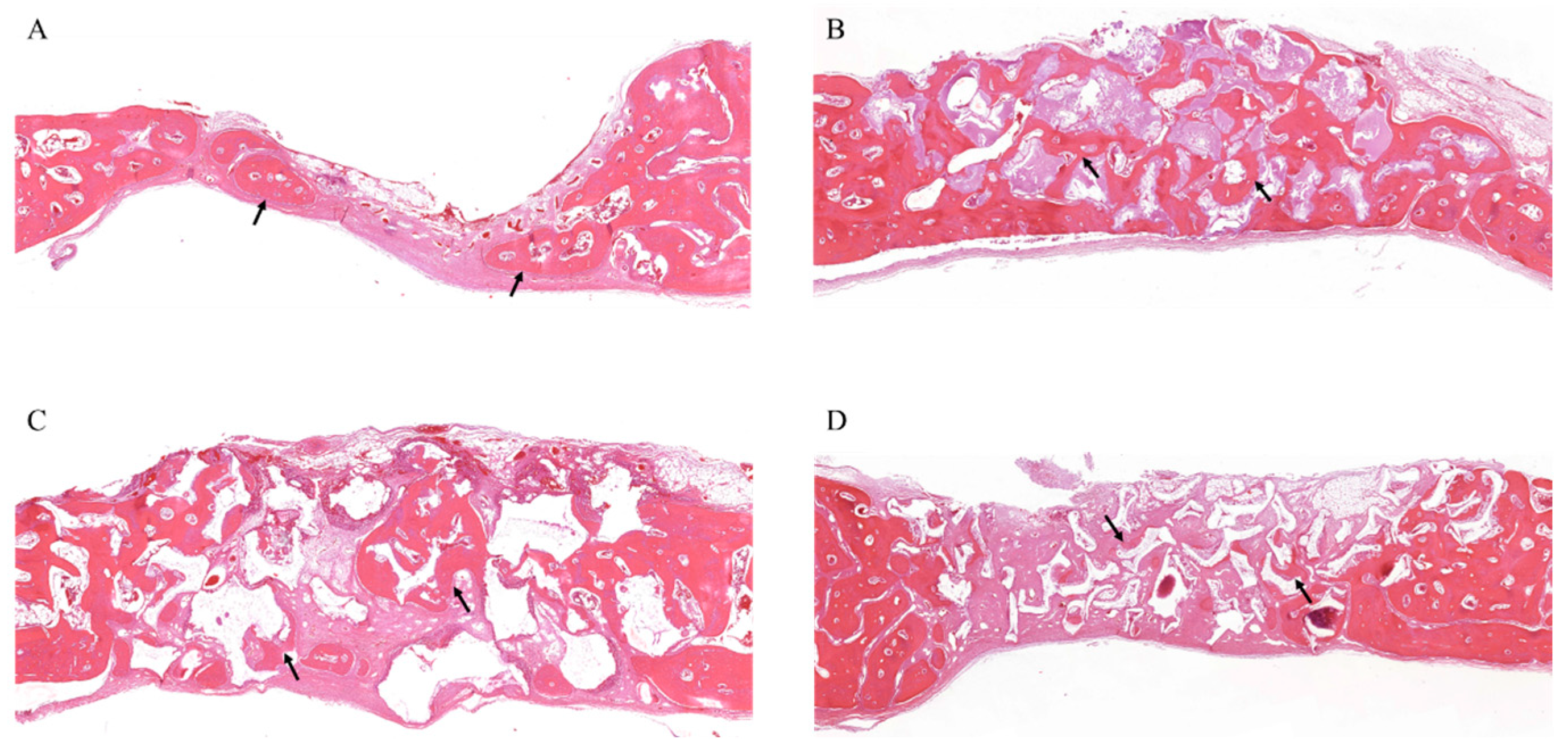 Materials 15 01921 g008