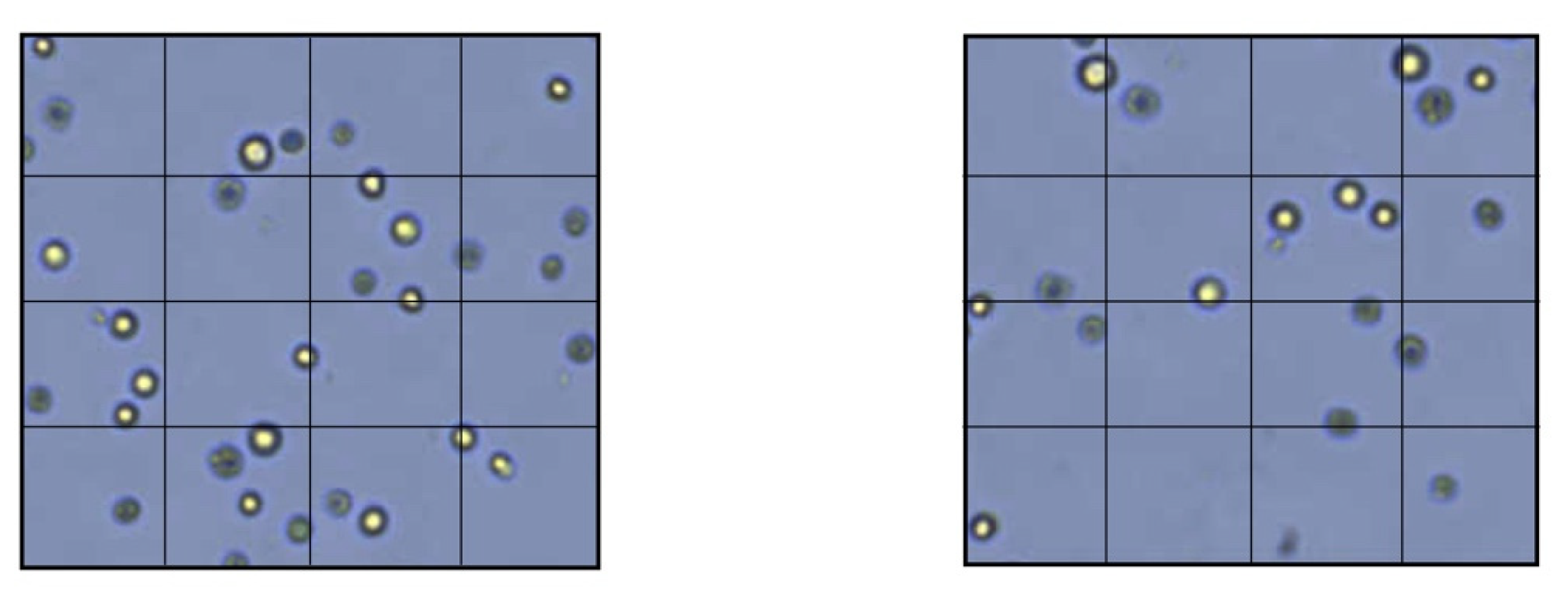 Materials 15 01937 g003 550