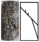 Materials 15 01941 i023