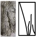 Materials 15 01941 i029