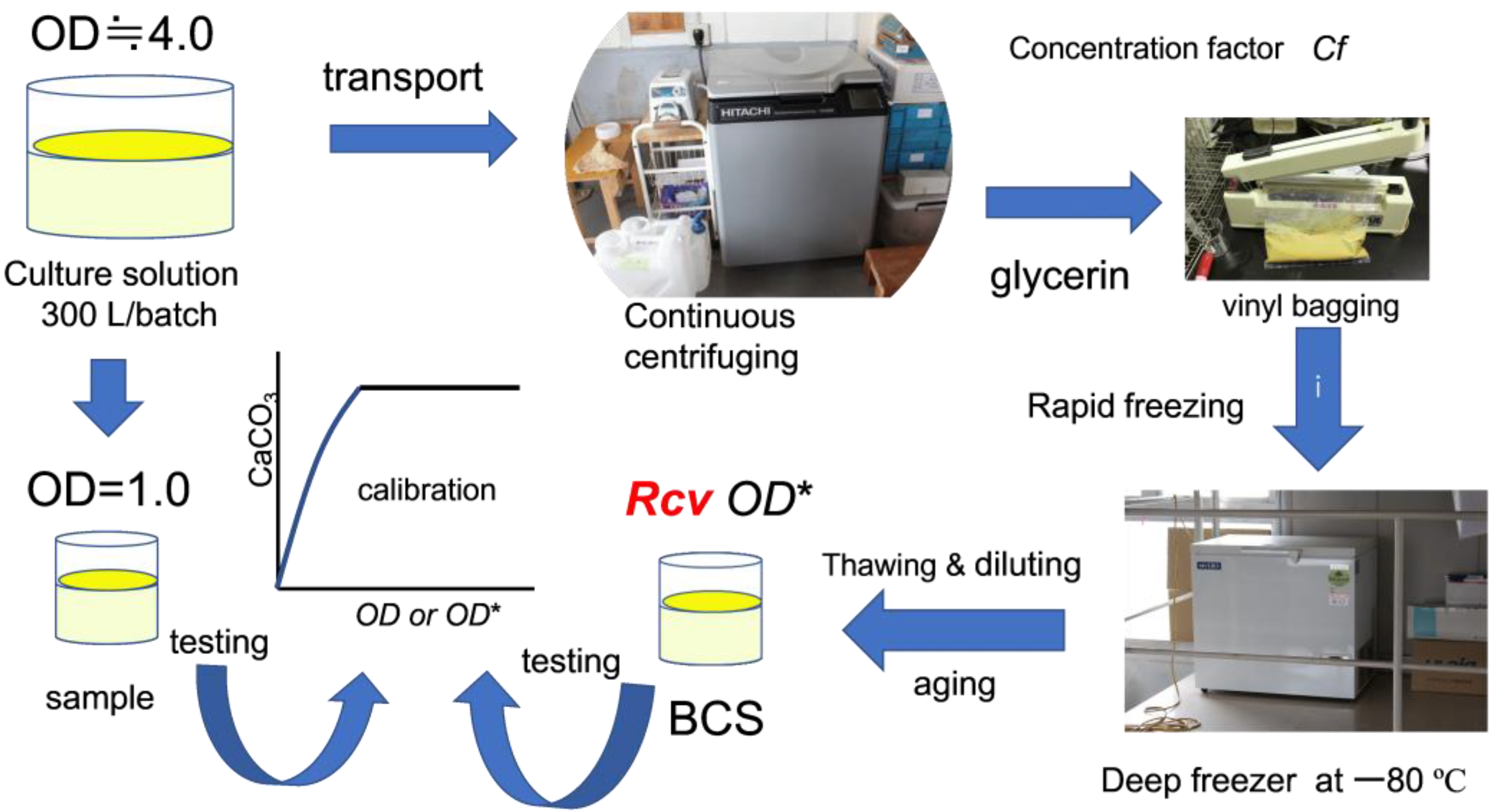 Materials 15 01951 g002