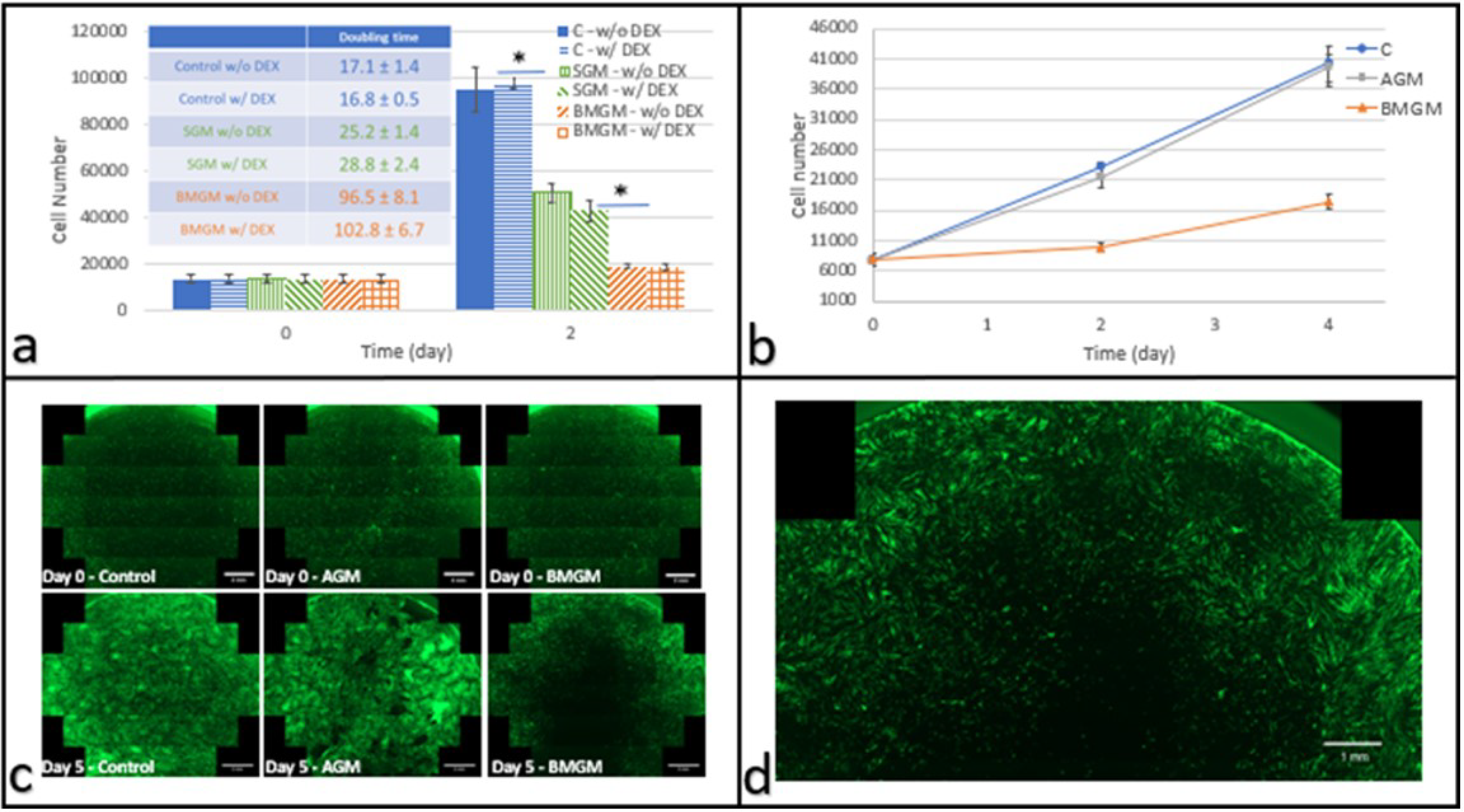 Materials 15 01955 g002 550