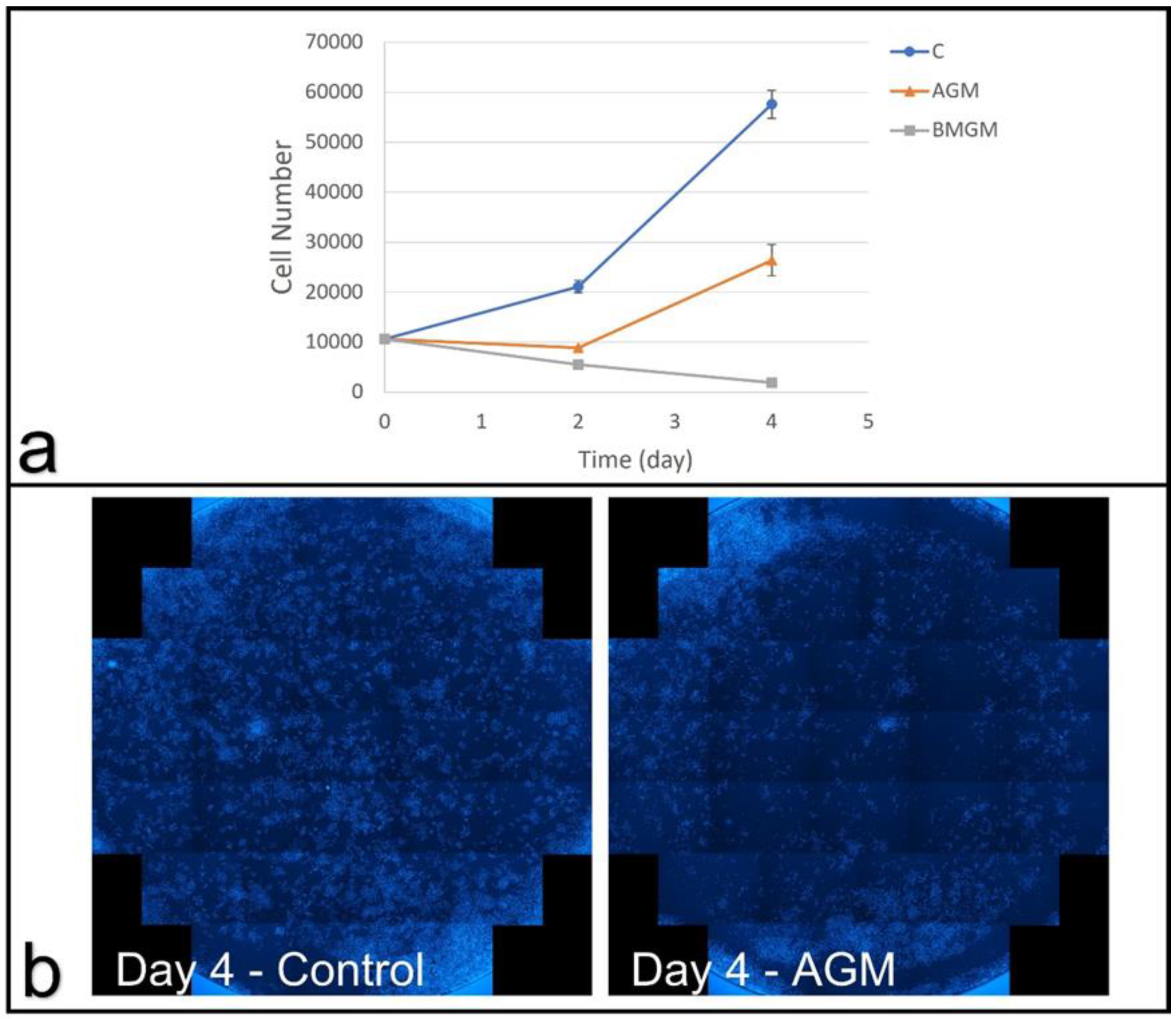 Materials 15 01955 g003 550