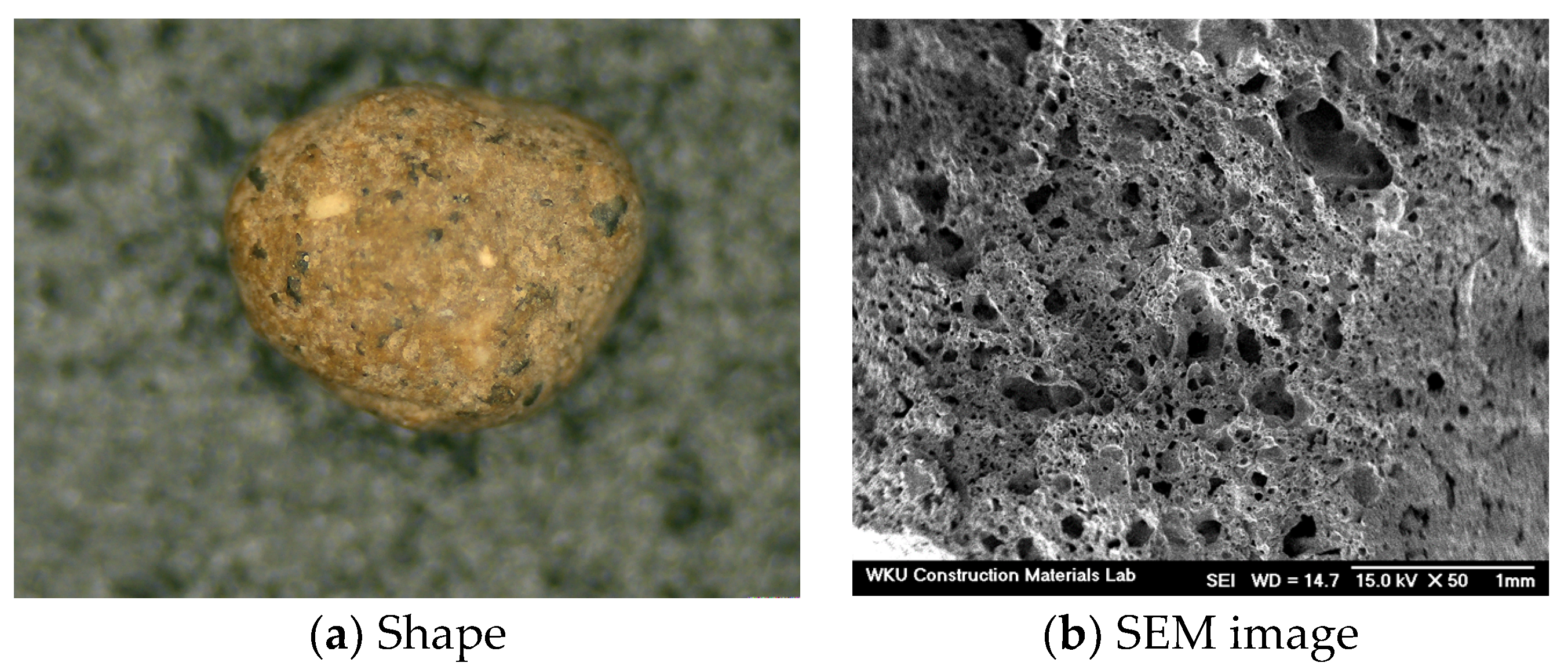 Materials 15 01967 g002 550