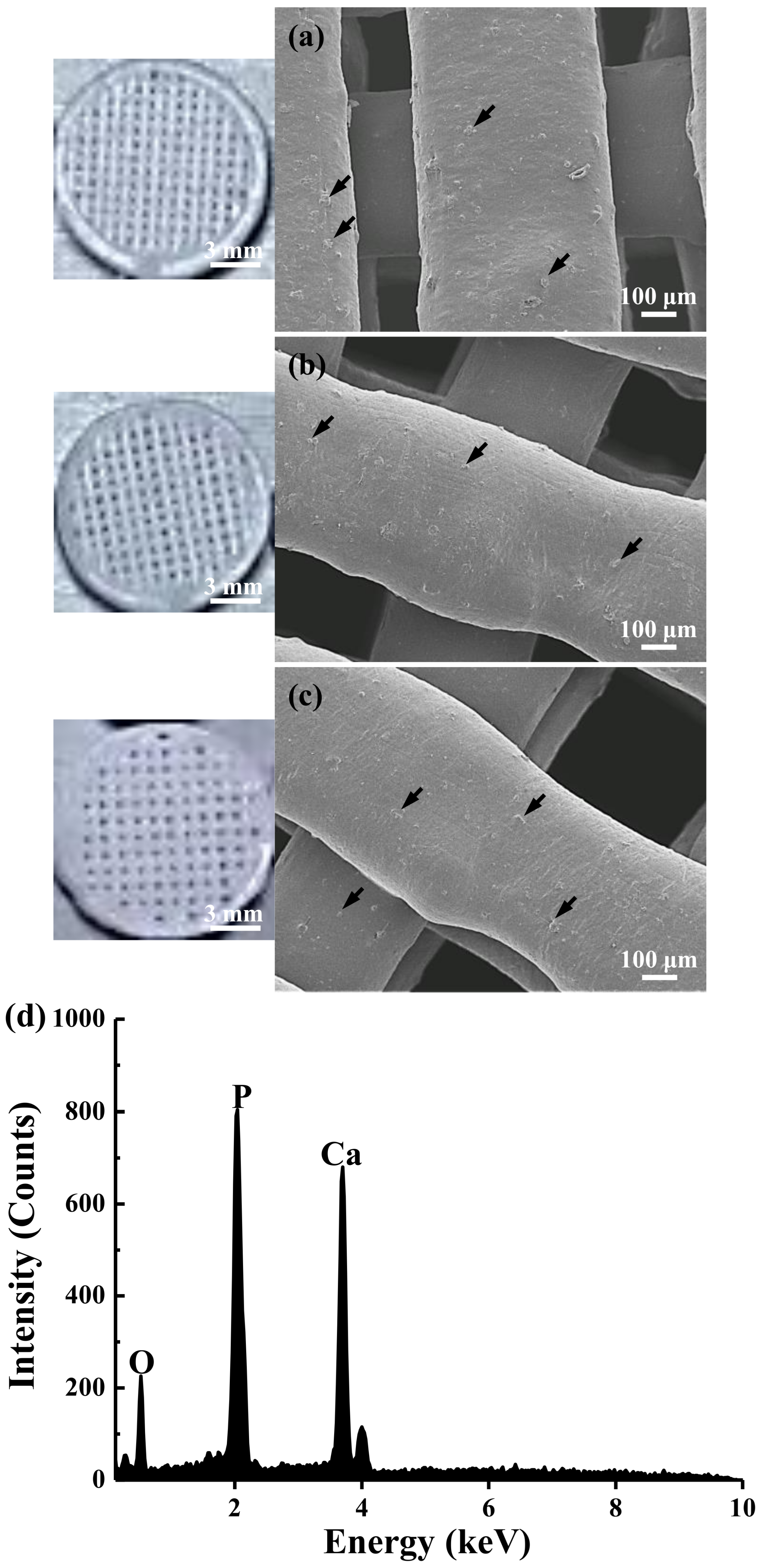Materials 15 01971 g002 550