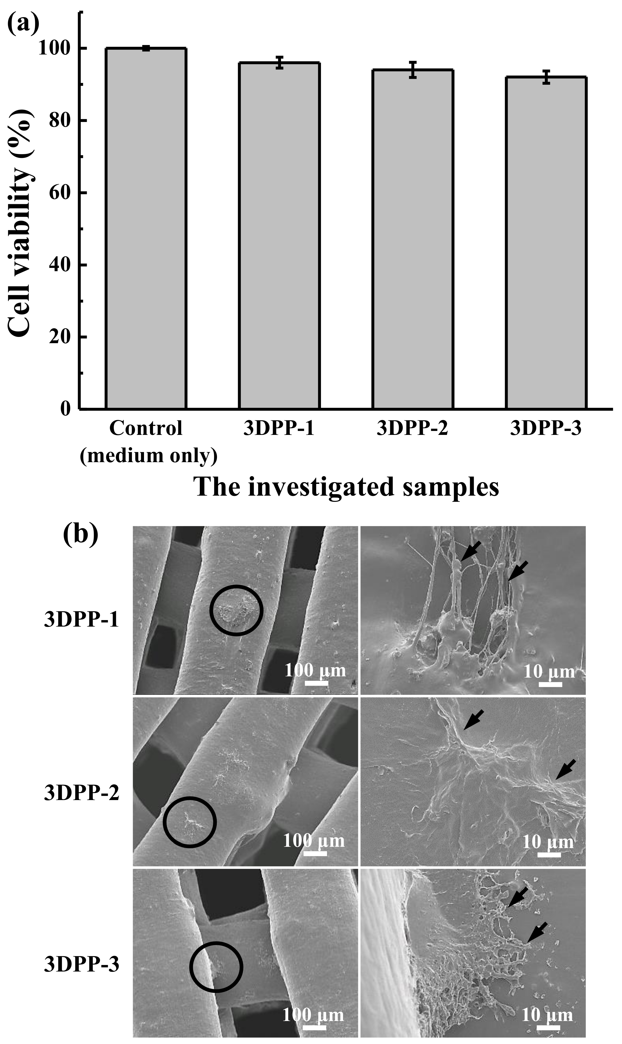 Materials 15 01971 g006 550