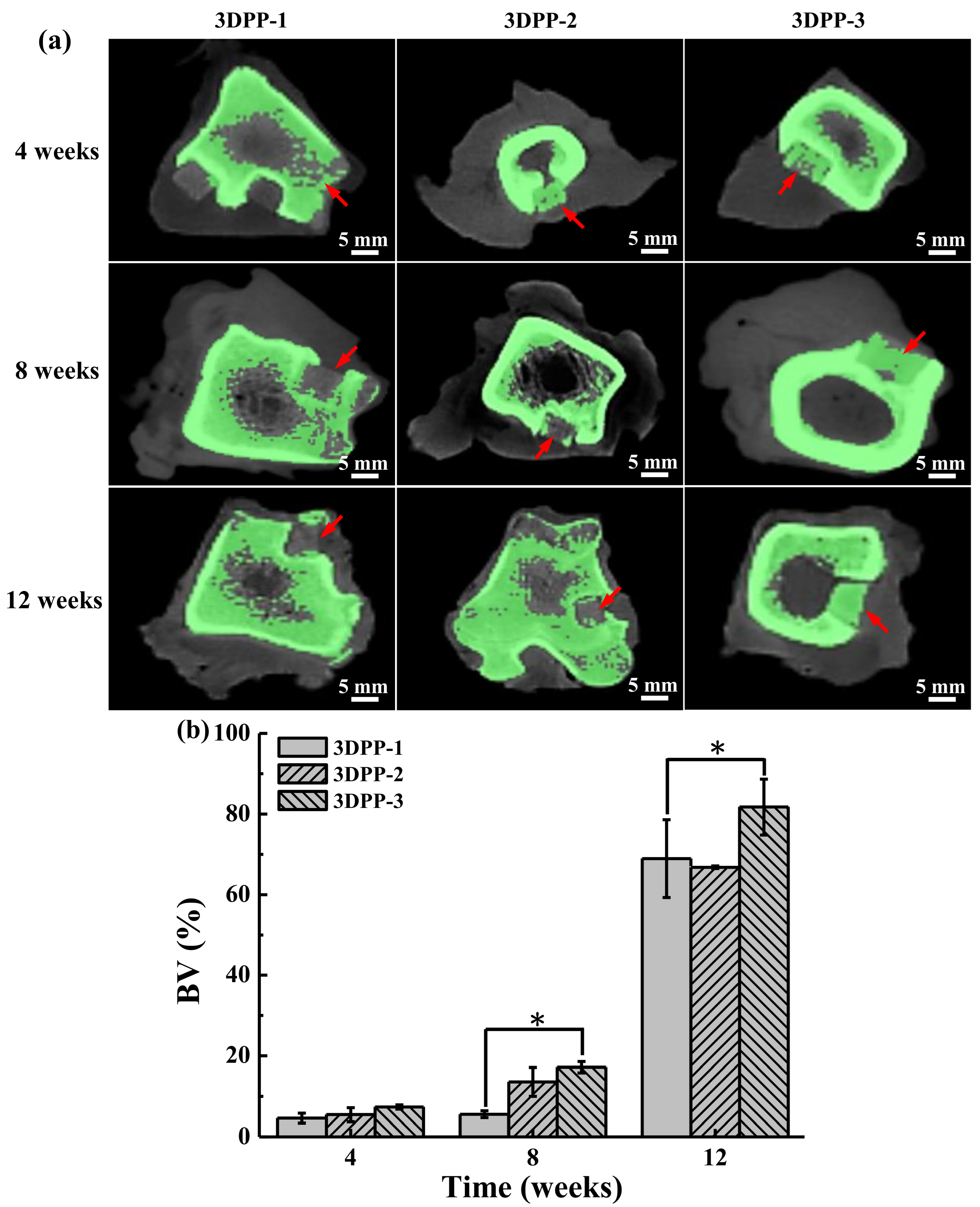 Materials 15 01971 g007 550