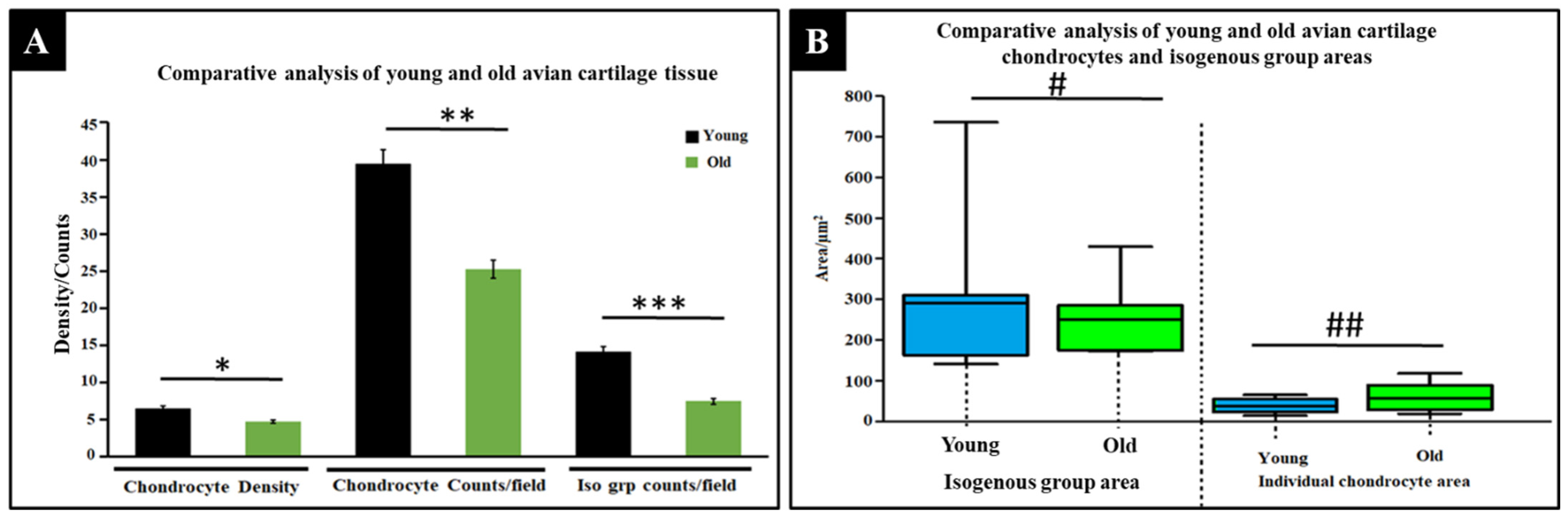 Materials 15 01974 g004 550