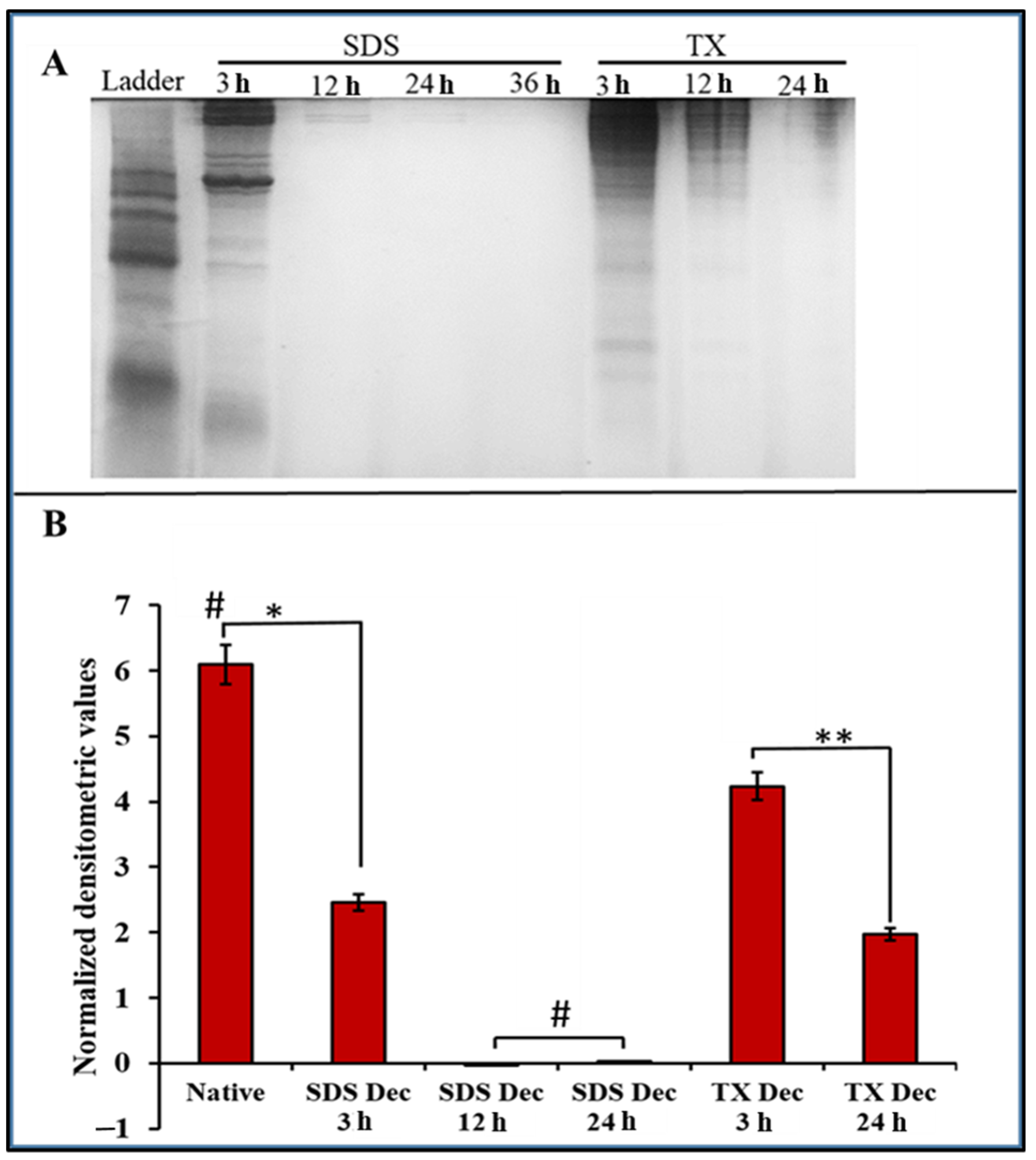 Materials 15 01974 g005 550