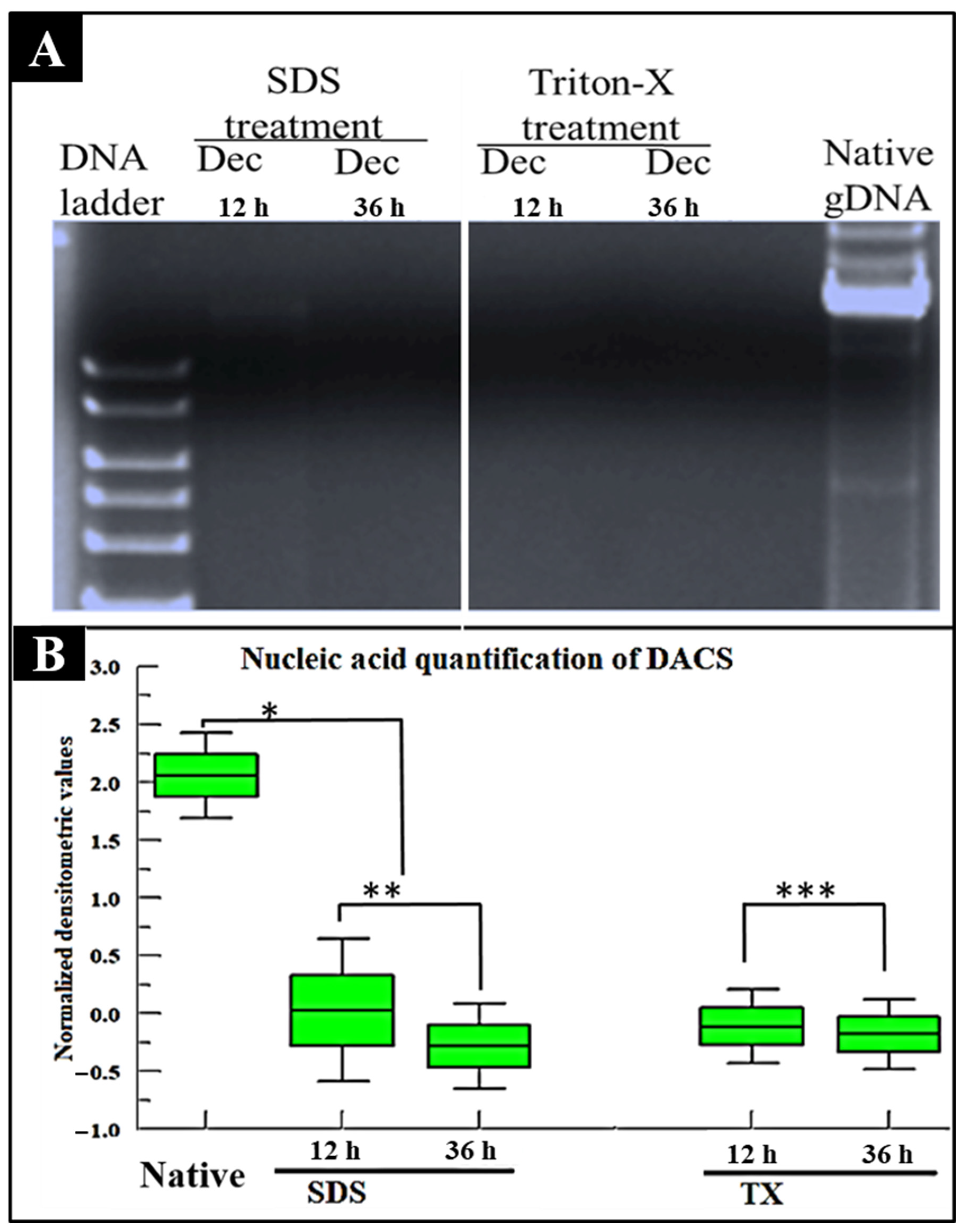 Materials 15 01974 g006 550