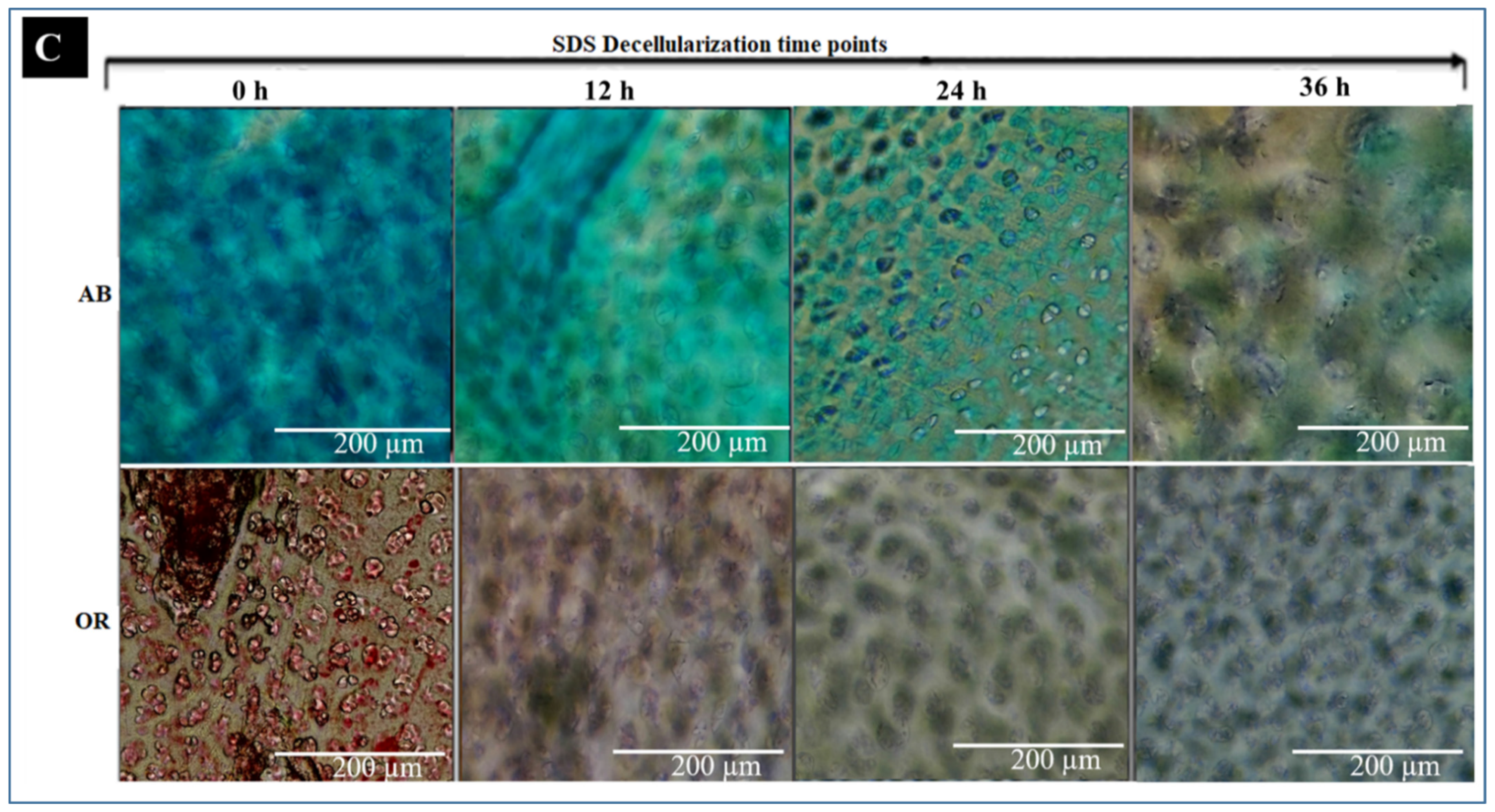 Materials 15 01974 g007b 550