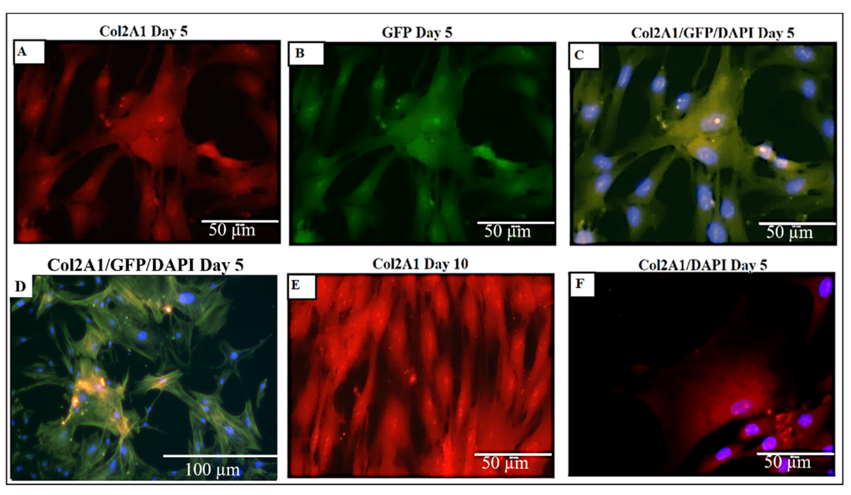 Materials 15 01974 g015 550