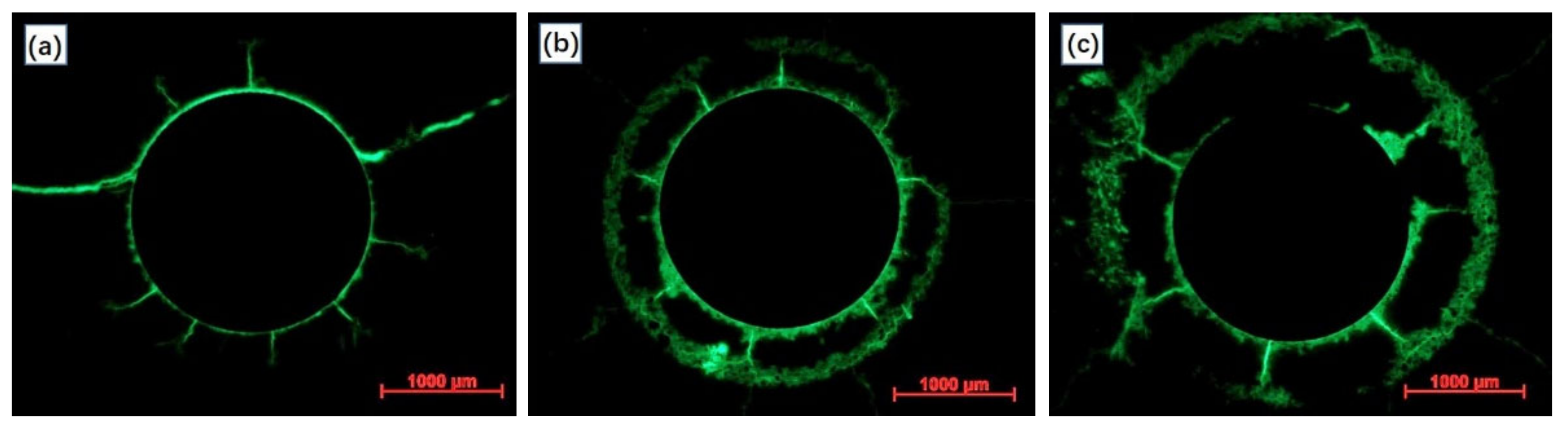Materials 15 01977 g008 Materials 15 01977 g008