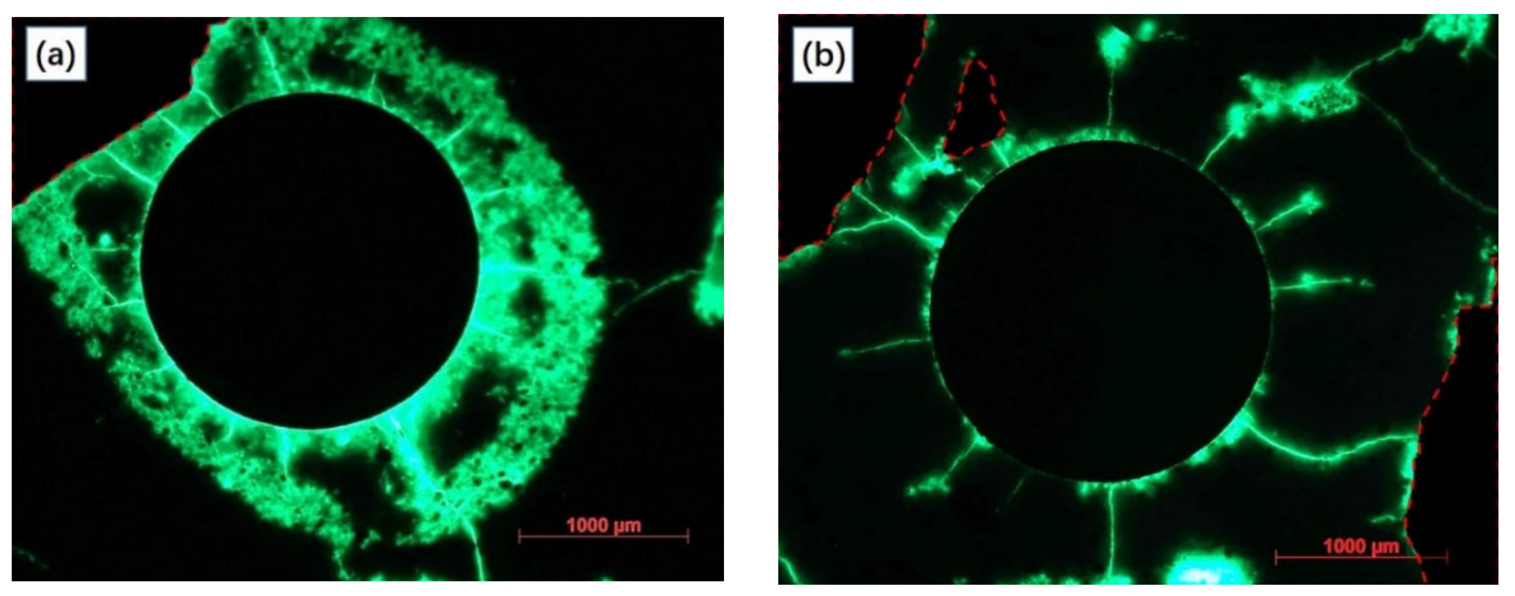 Materials 15 01977 g010 Materials 15 01977 g010
